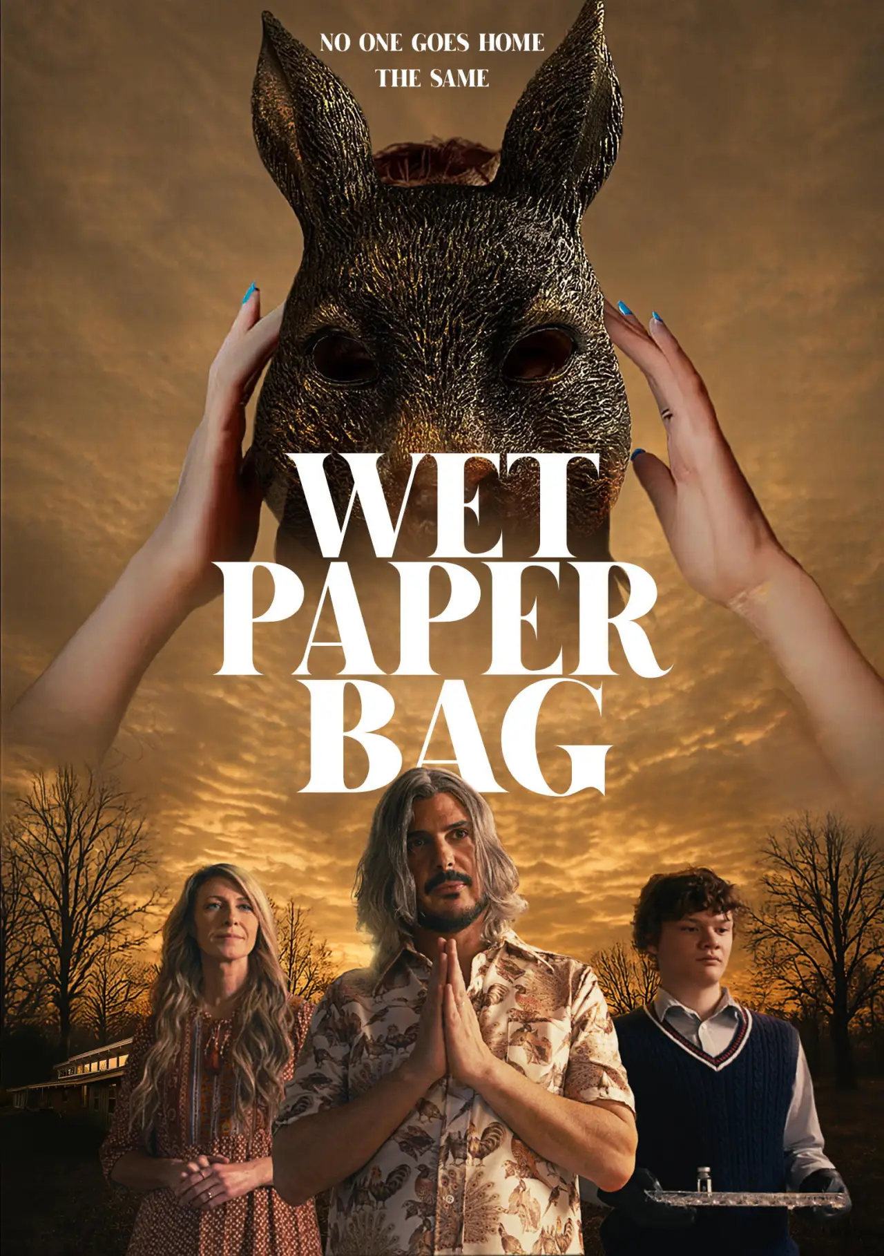 Постер до фільму "Wet Paper Bag"