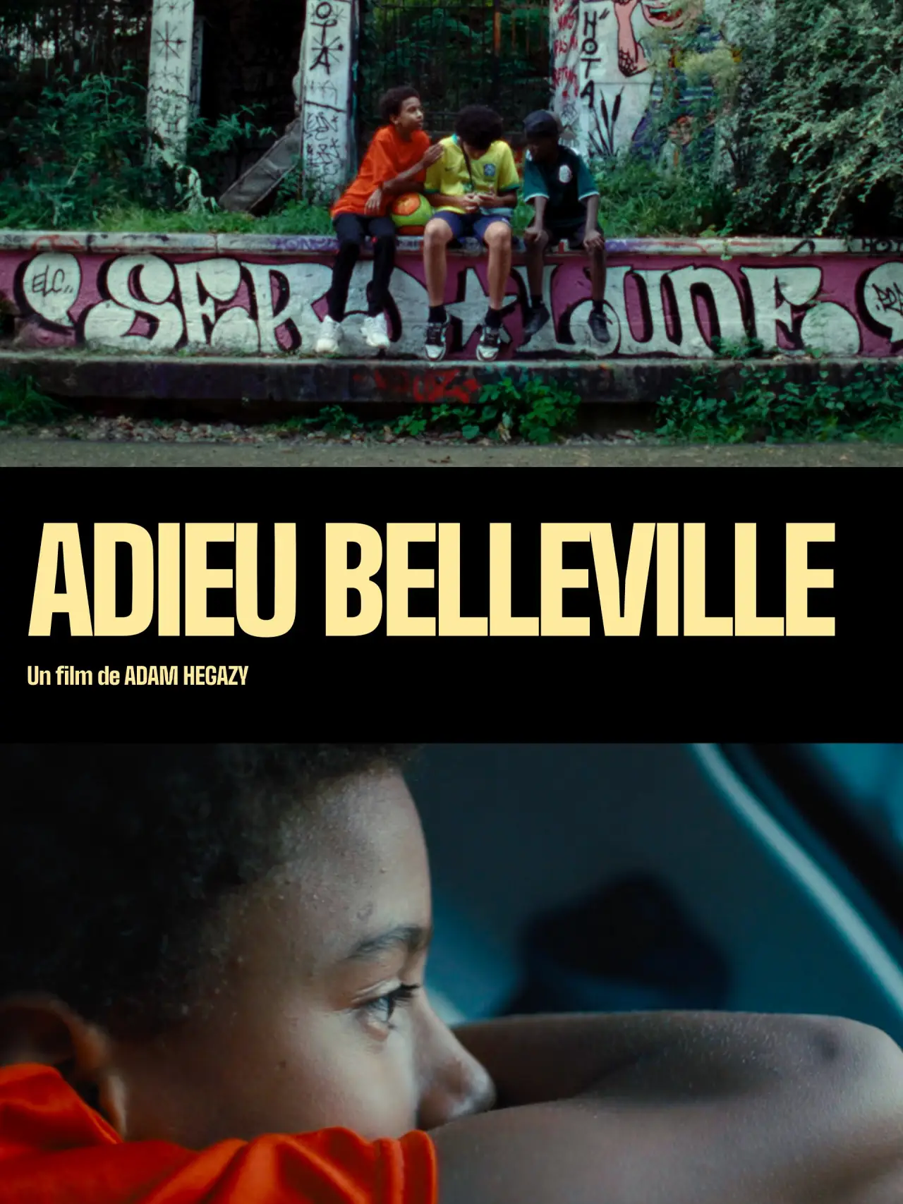 Постер до фільму "Adieu Belleville"