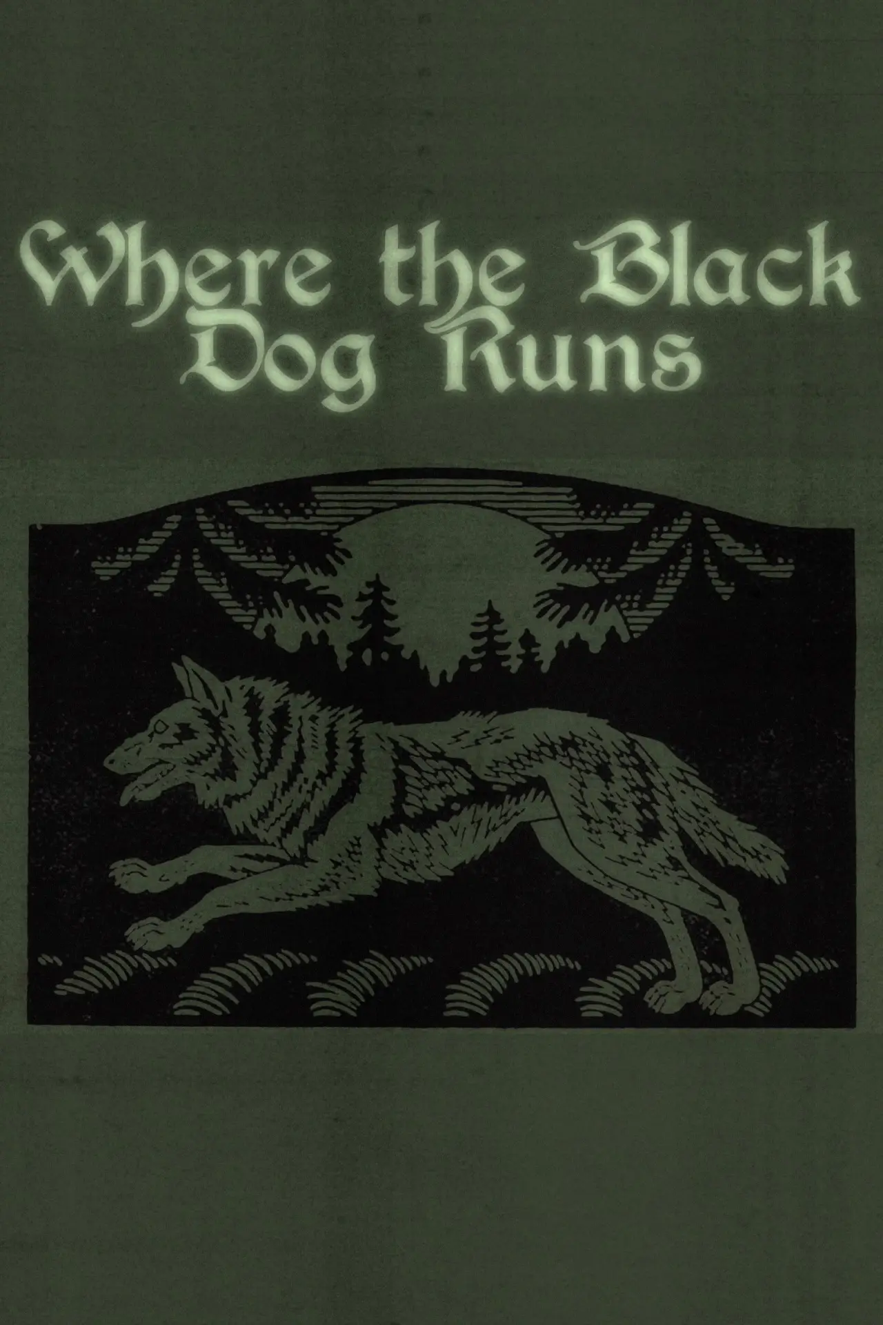 Постер до фільму "Where the Black Dog Runs"