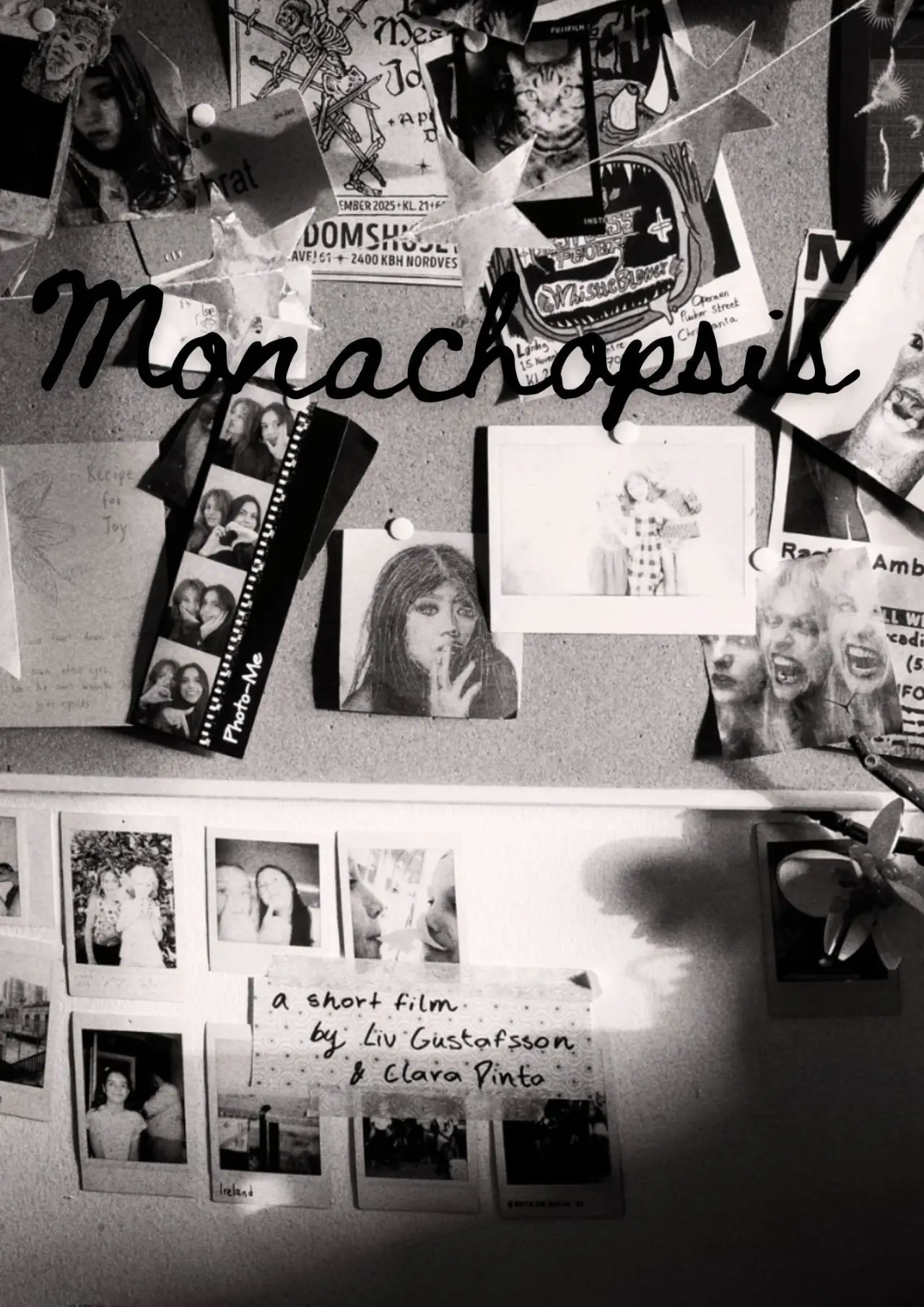 Постер до фільму "Monachopsis"