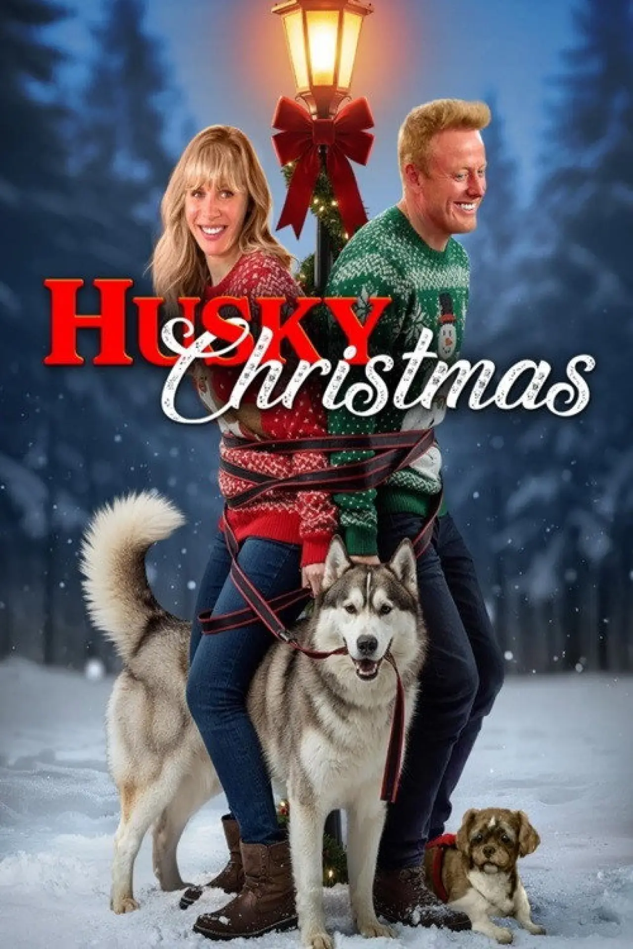 Постер до фільму "Husky Christmas"