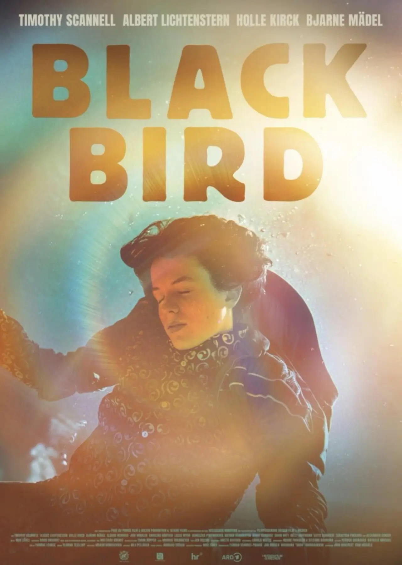 Постер до фільму "Blackbird"