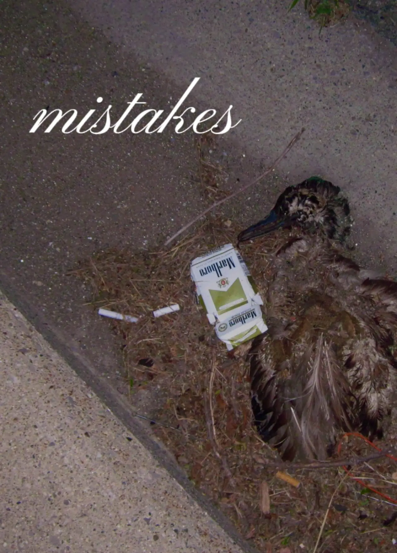 Постер до фільму "Mistakes"