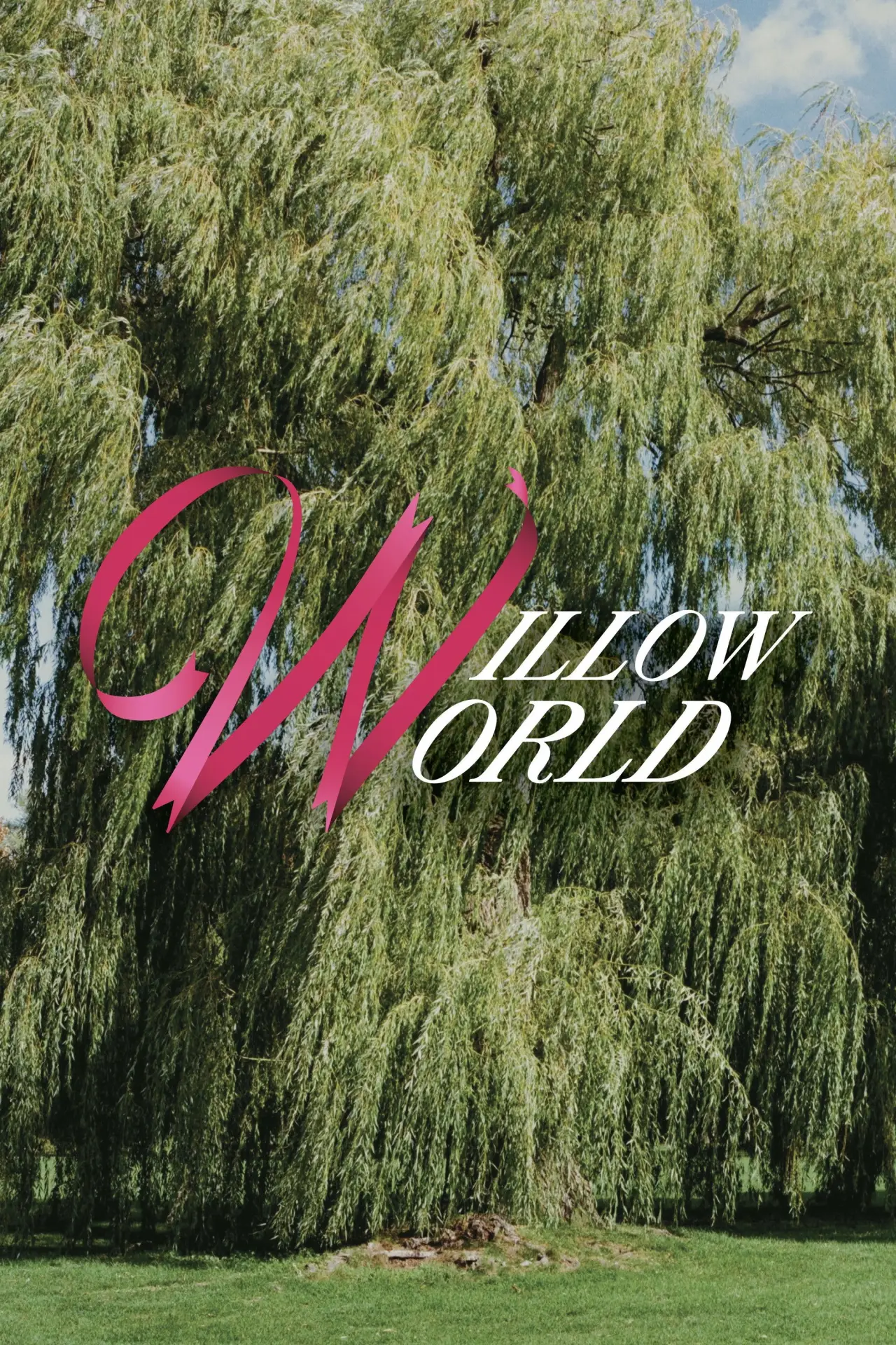 Постер до фільму "Willow World"