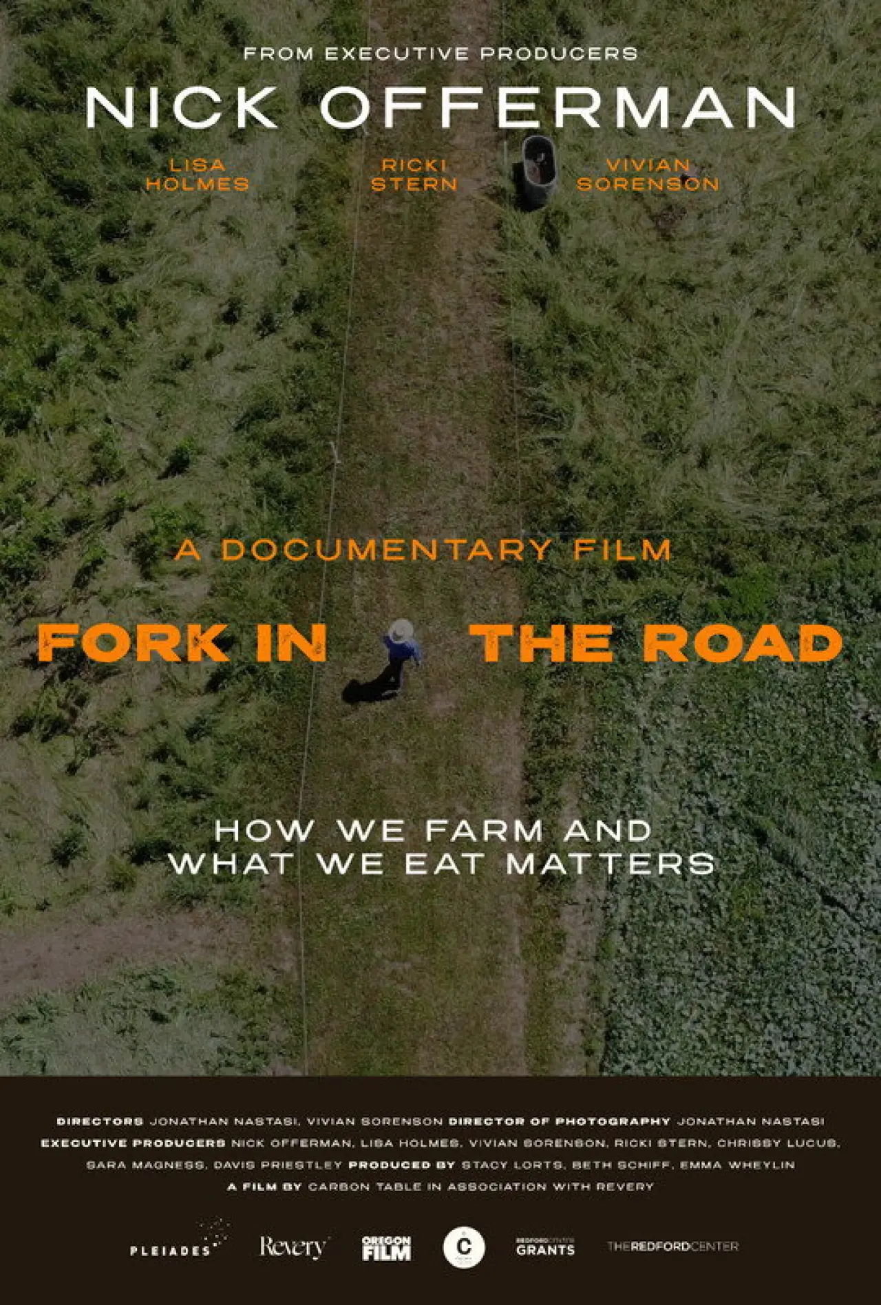 Постер до фільму "Fork in the Road"