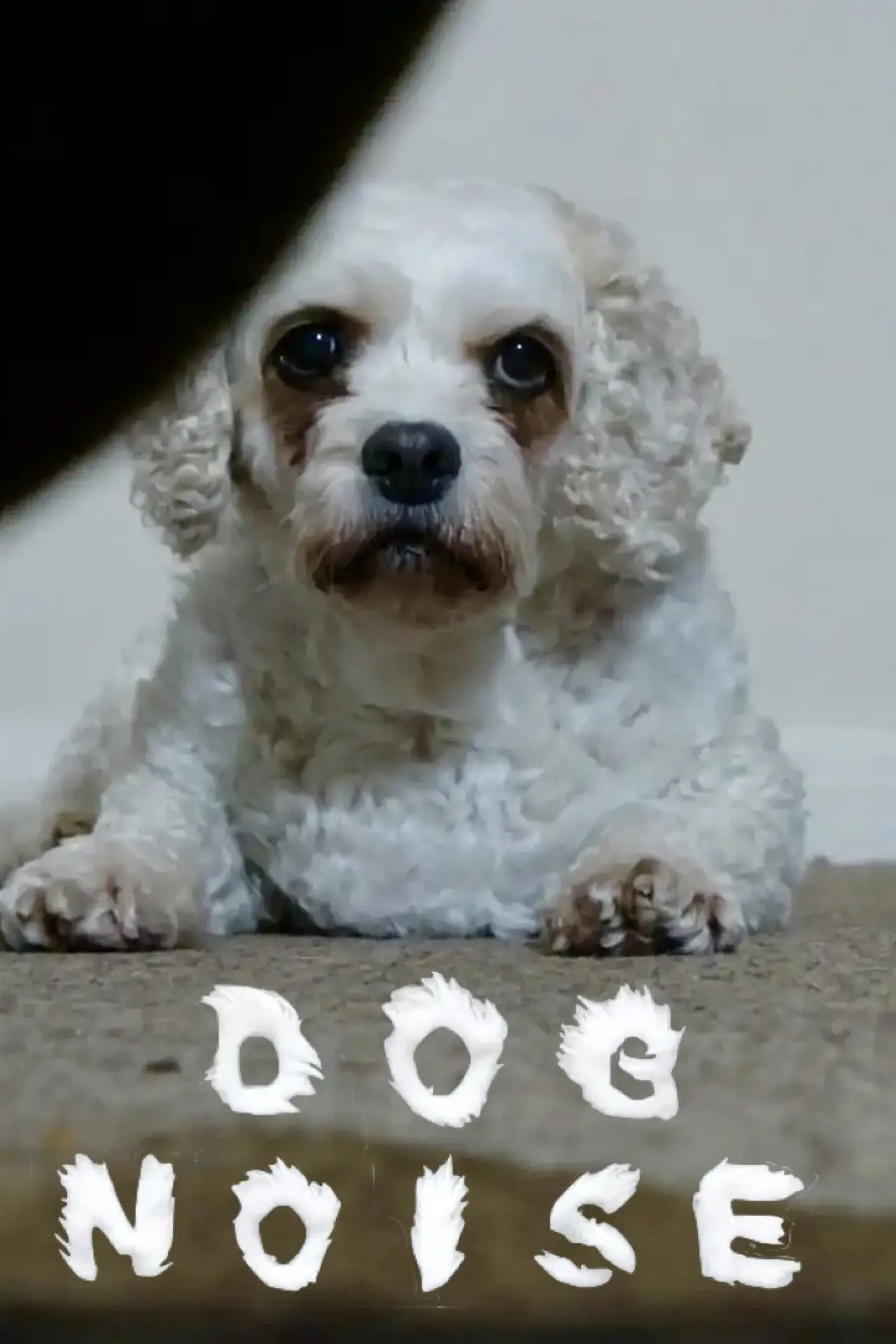 Постер до фільму "Dog Noise"