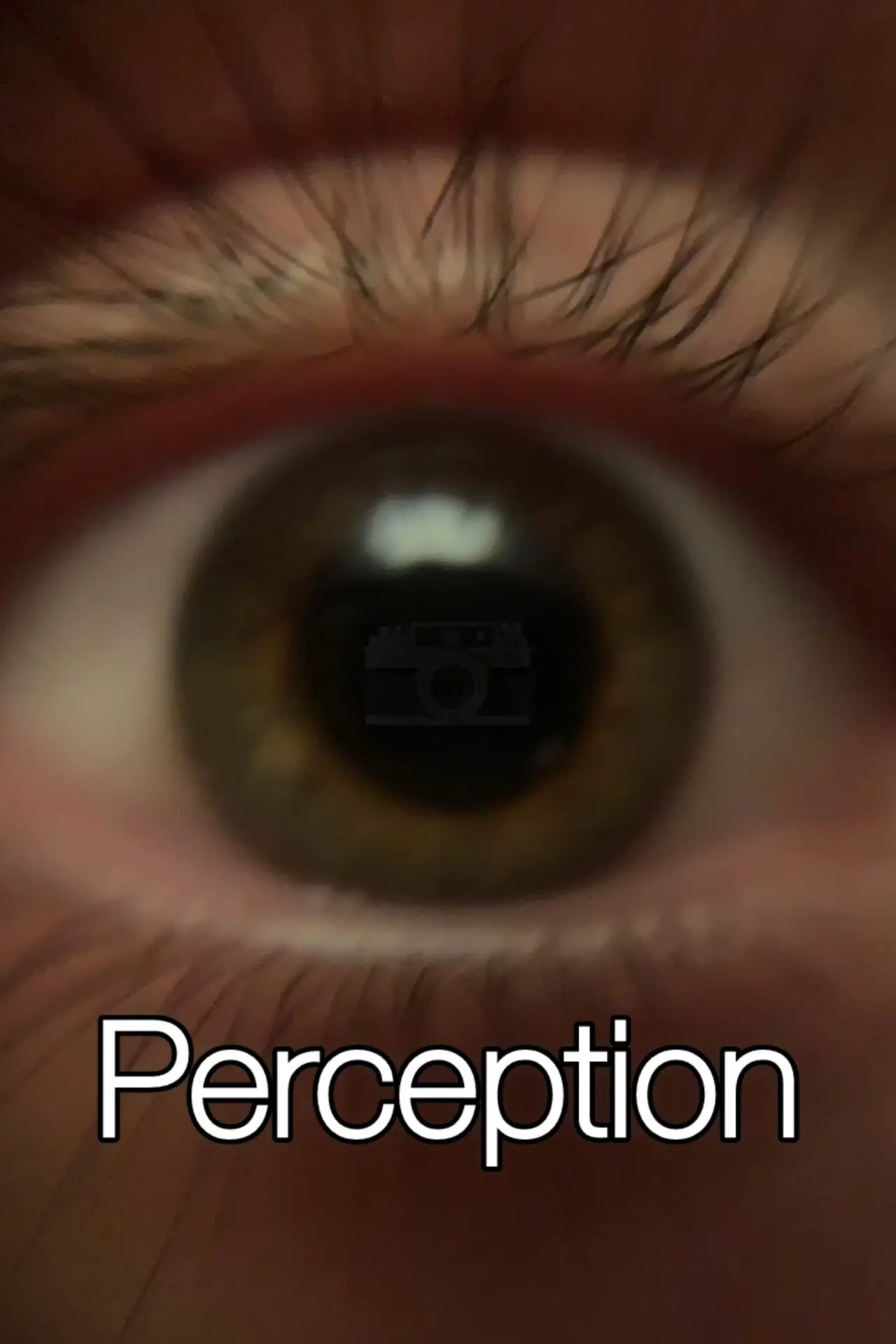 Постер до фільму "Perception"