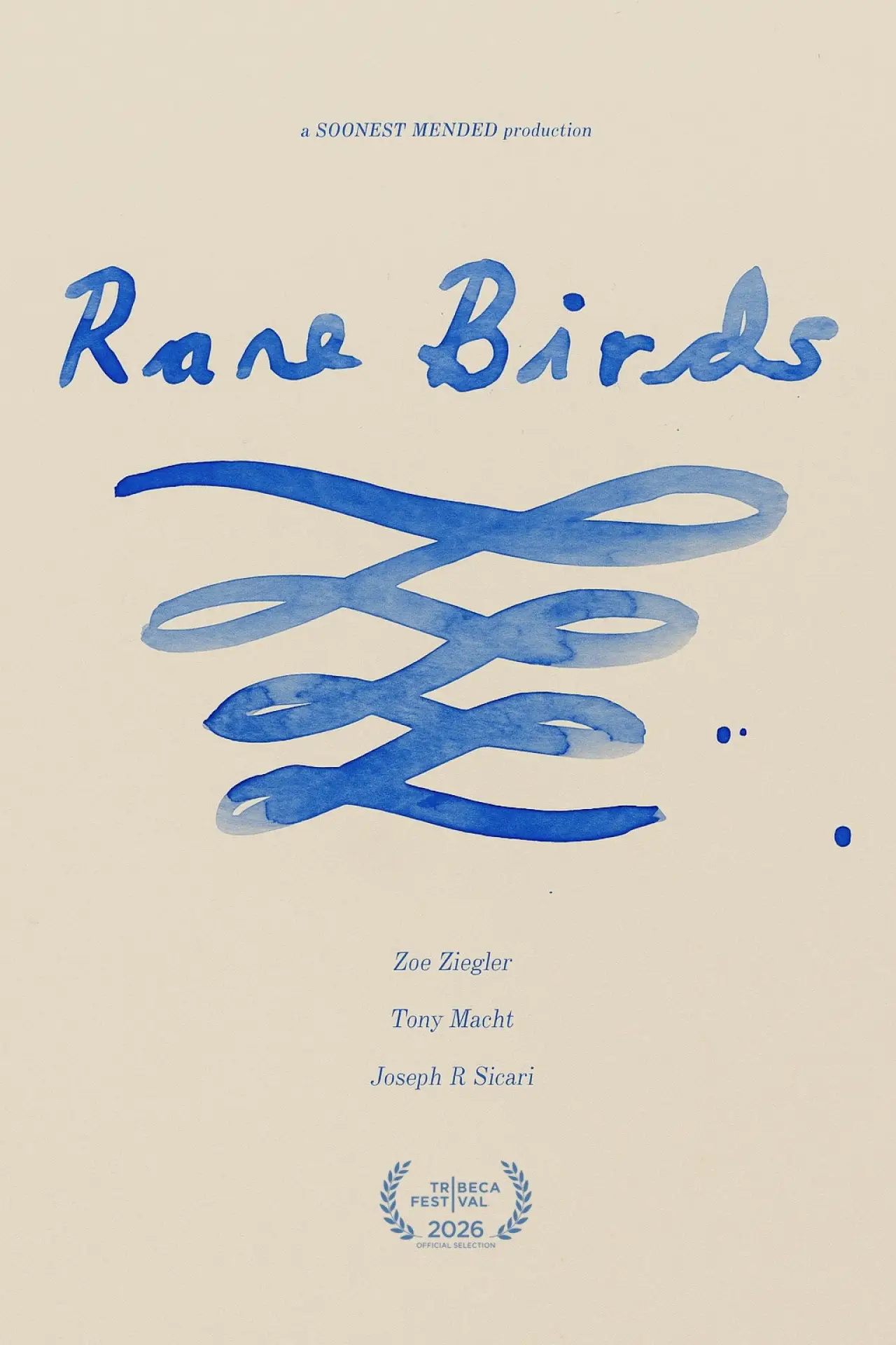 Постер до фільму "Rare Birds"