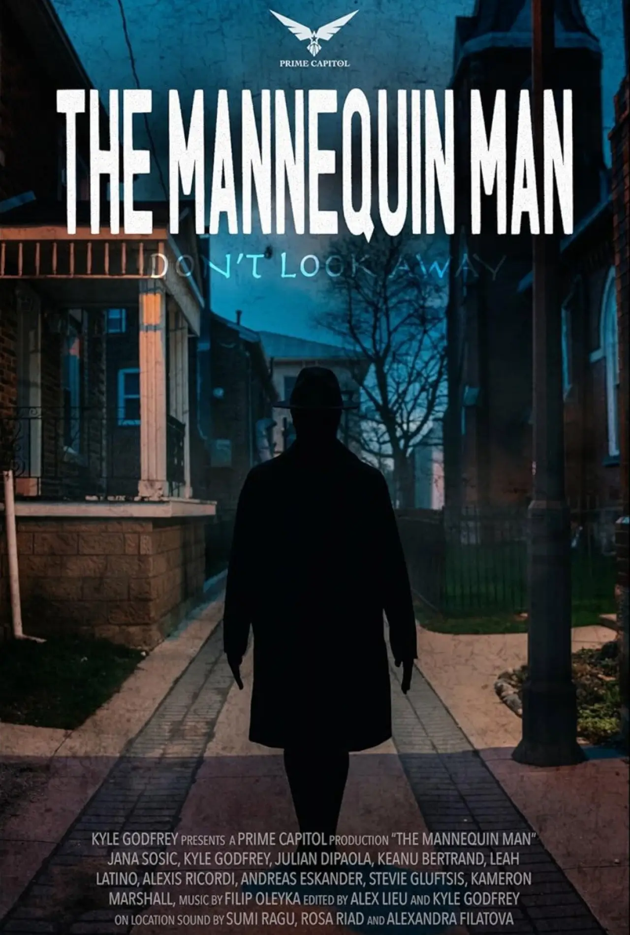 Постер до фільму "The Mannequin Man"