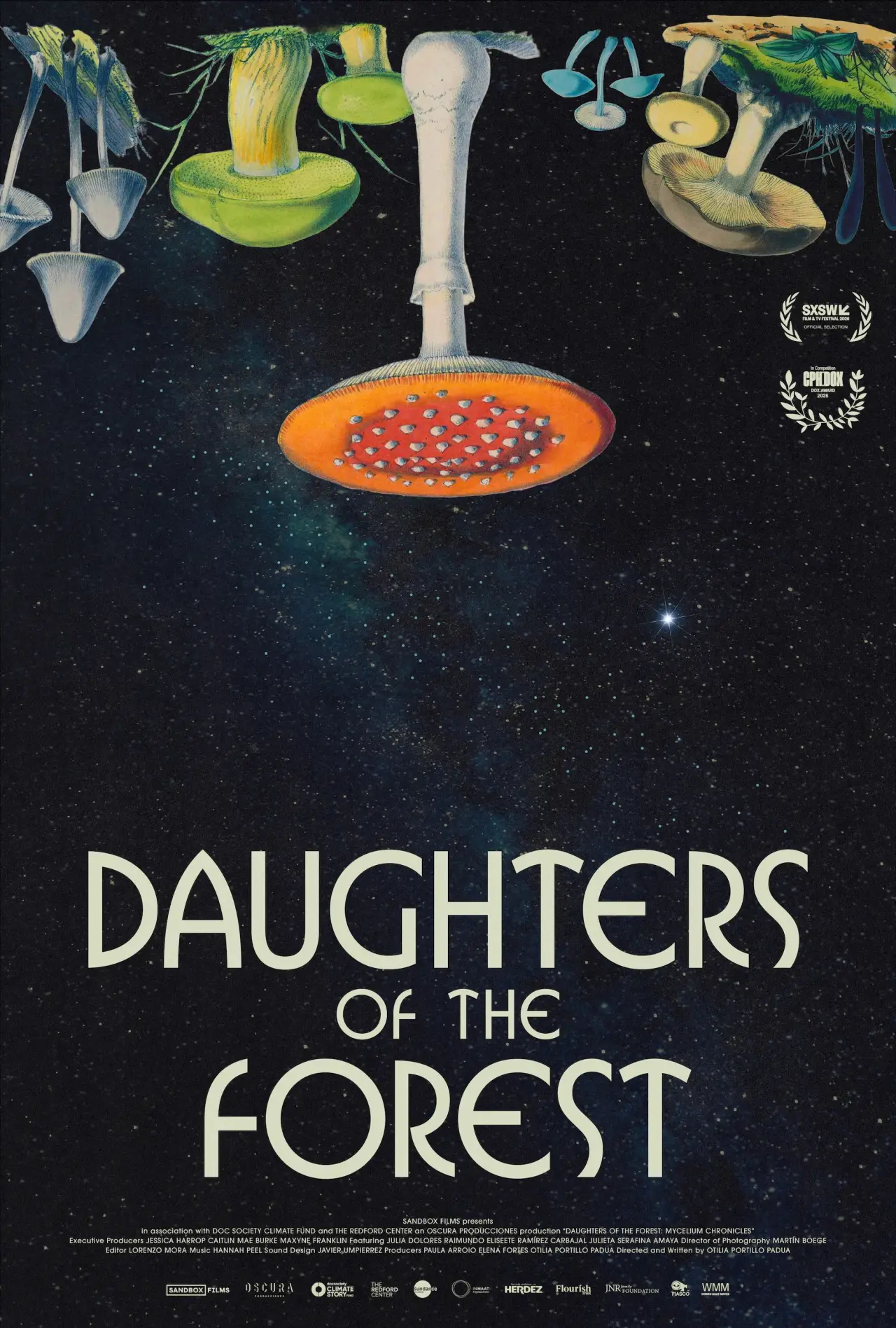 Постер до фільму "Daughters of the Forest"