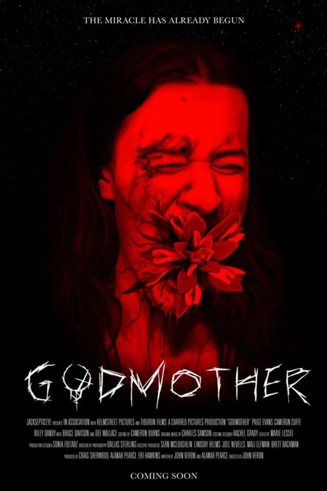 Постер до фільму "Godmother"