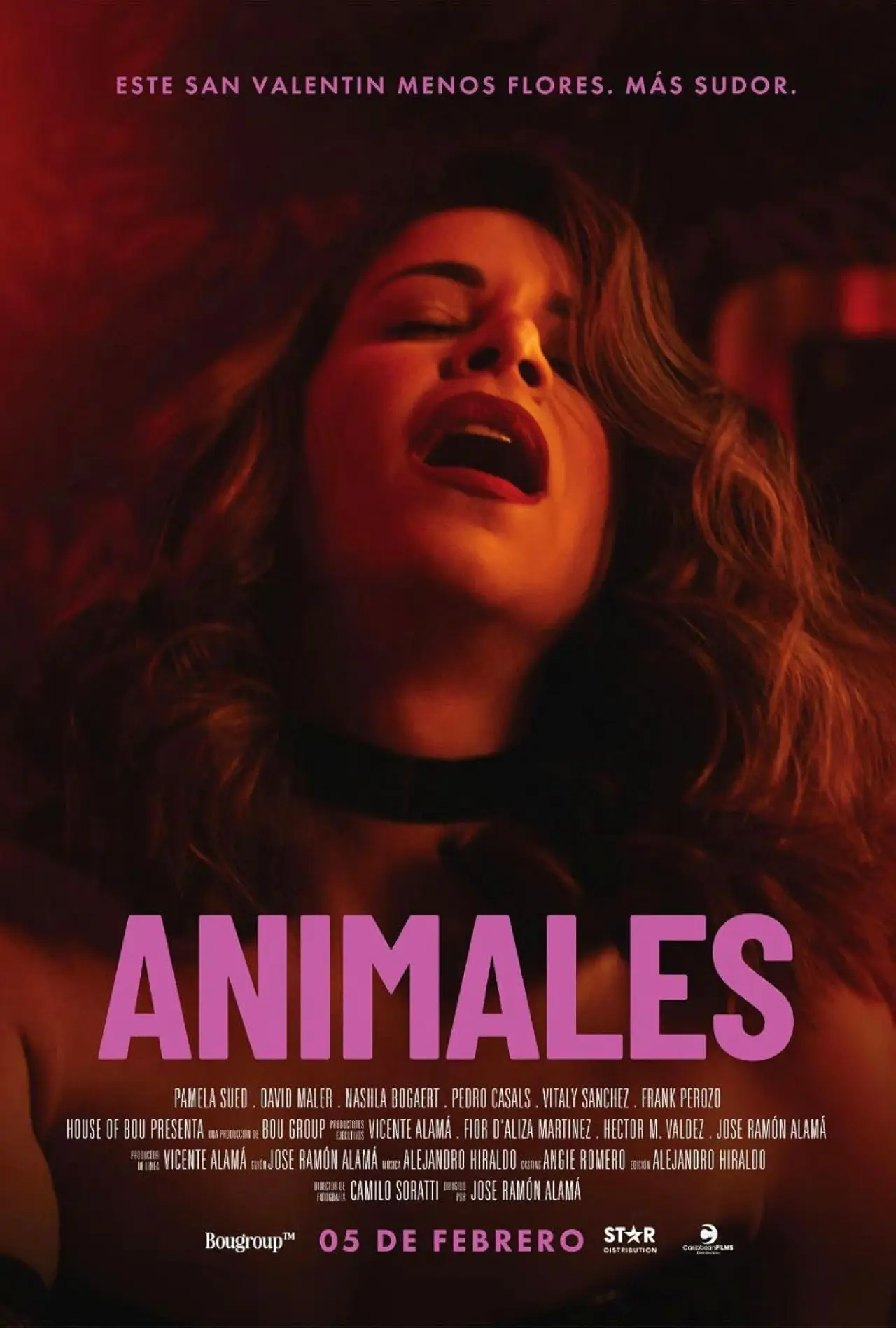 Постер до фільму "Animales"