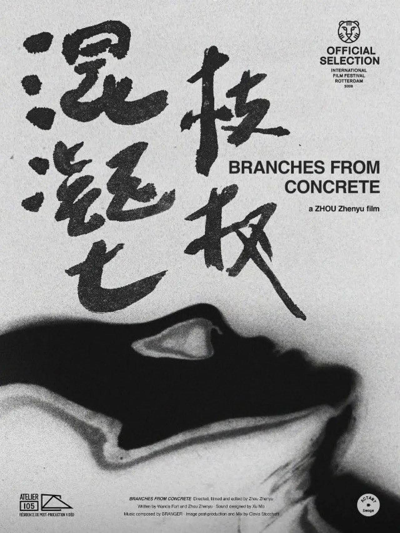 Постер до фільму "混凝土枝杈"