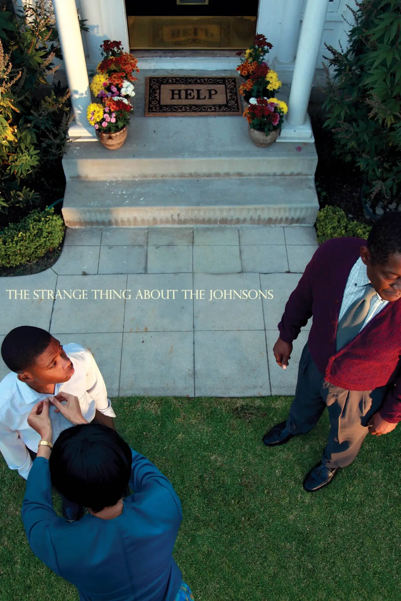 Постер до фільму "The Strange Thing About the Johnsons"