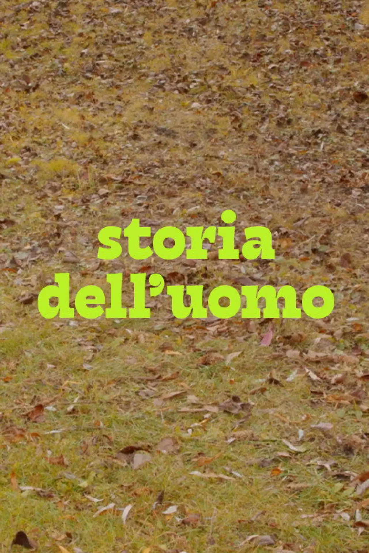 Постер до фільму "Storia dell