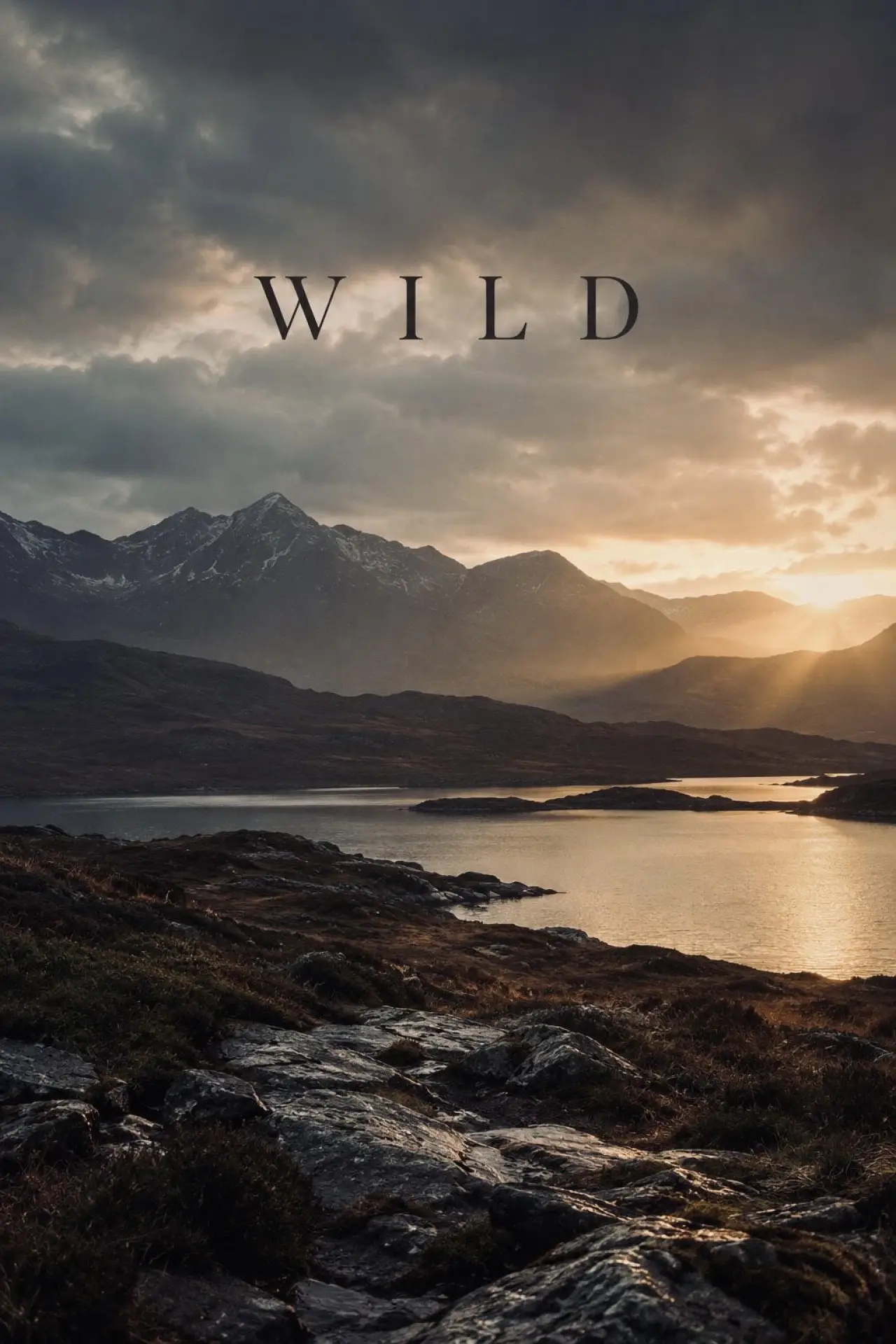 Постер до фільму "Wild"