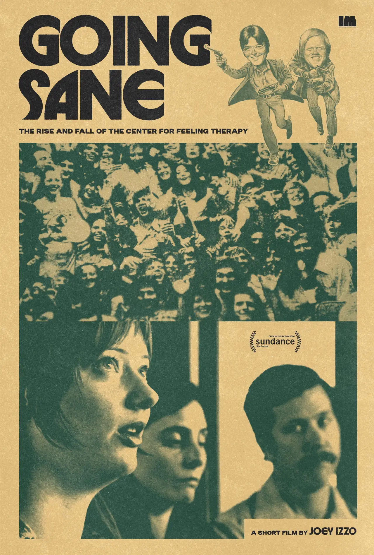 Постер до фільму "Going Sane: The Rise and Fall of the Center for Feeling Therapy"