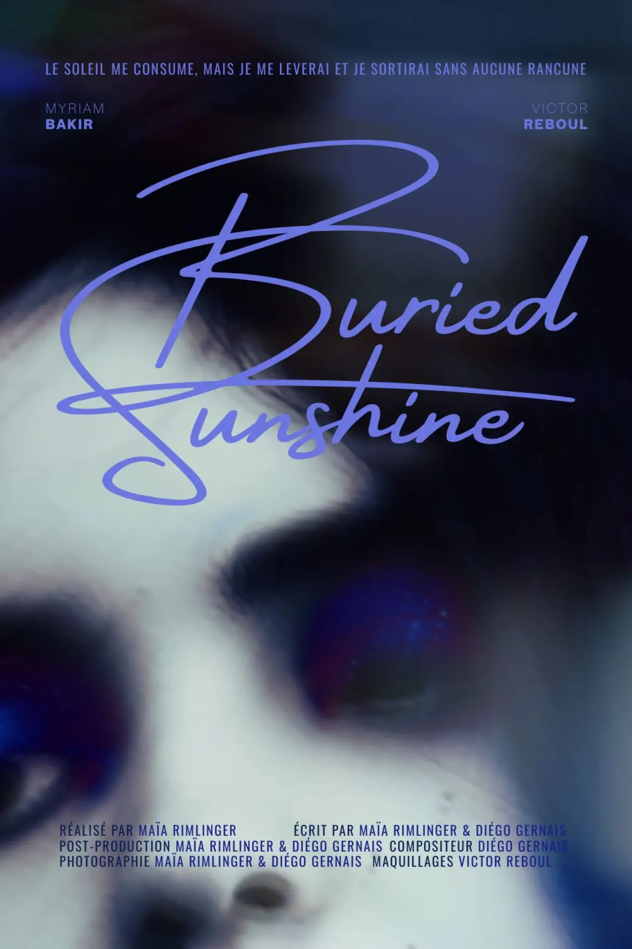 Постер до фільму "Buried Sunshine"