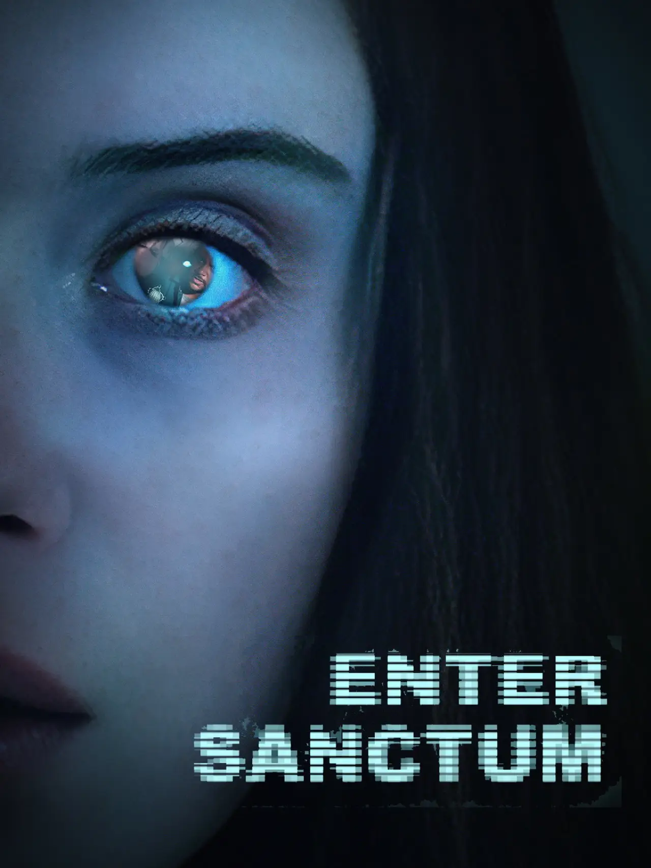 Постер до фільму "Enter Sanctum"
