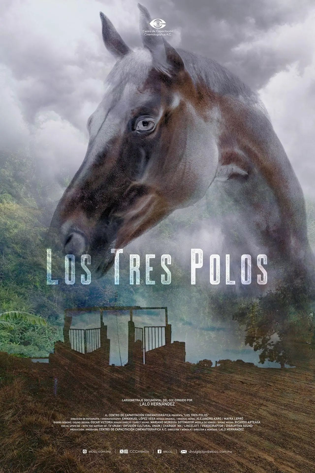 Постер до фільму "Los tres Polos"