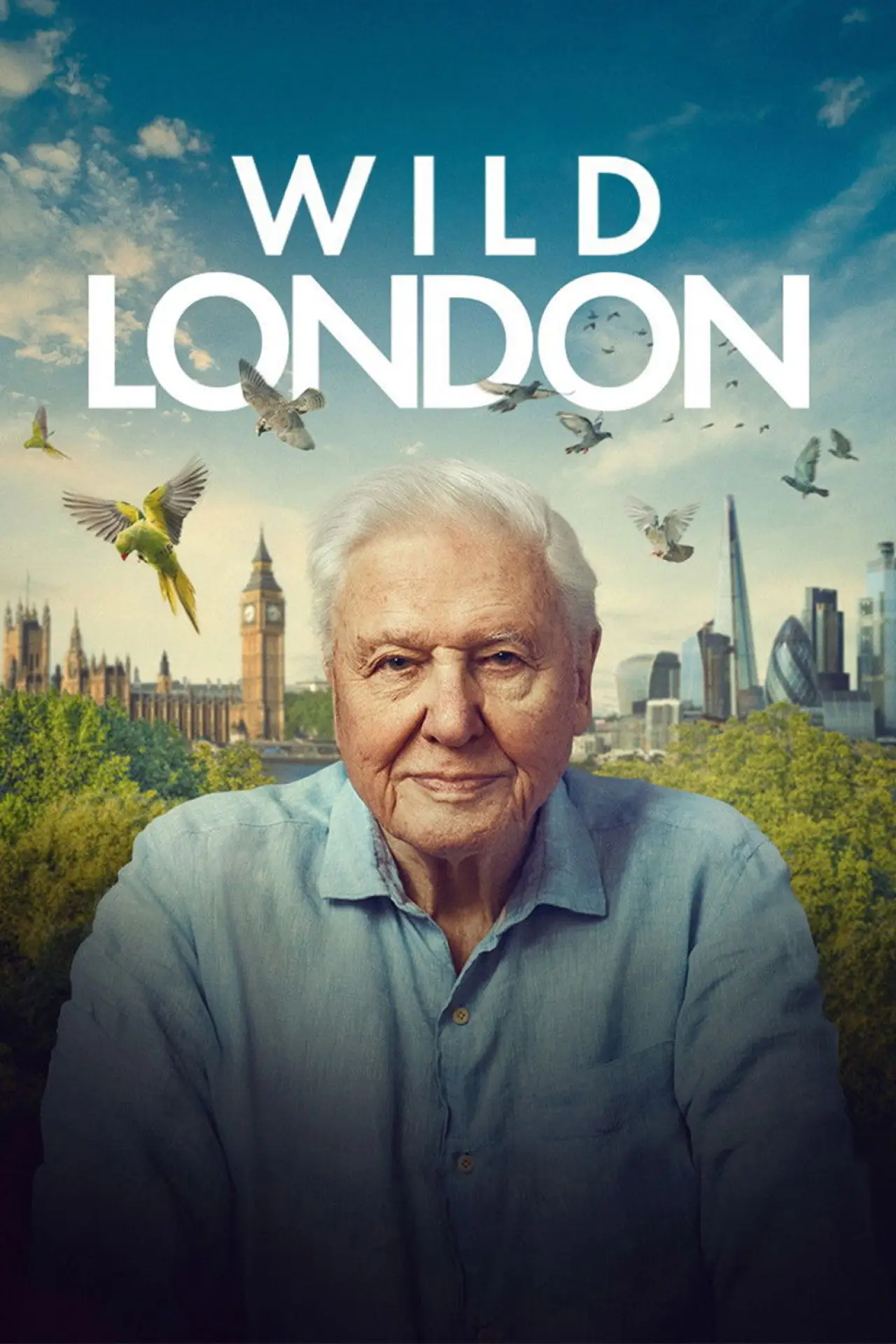 Постер до фільму "Wild London"