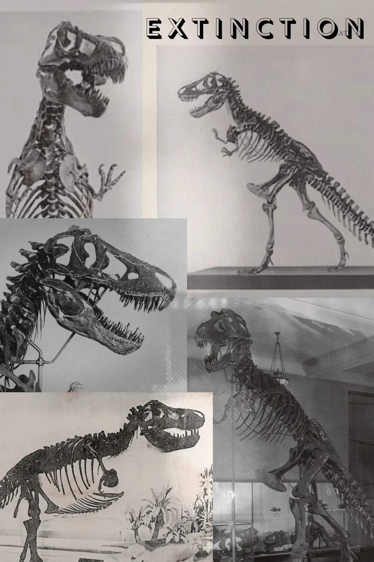 Постер до фільму "Extinction"