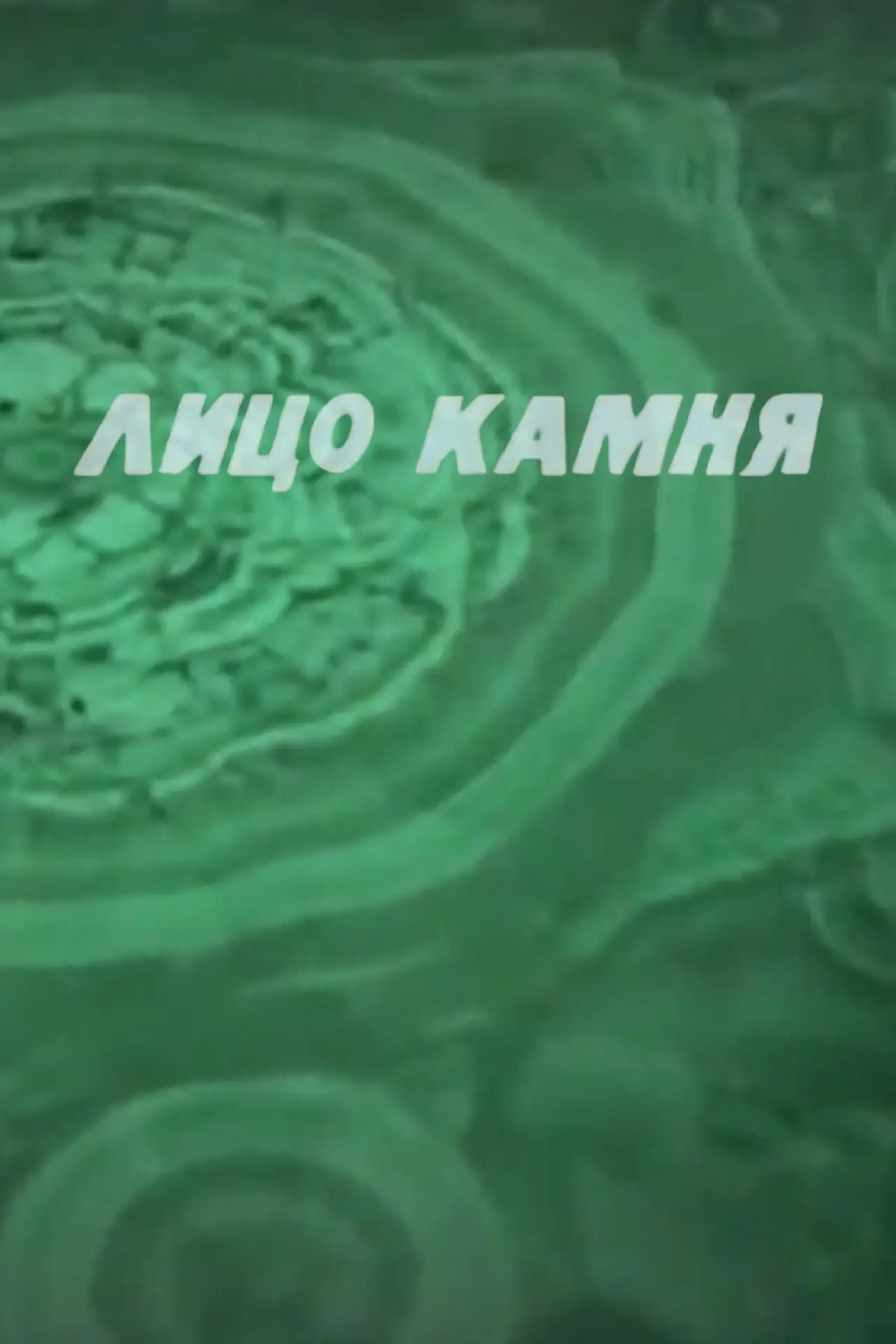 Постер до фільму "Лицо камня"