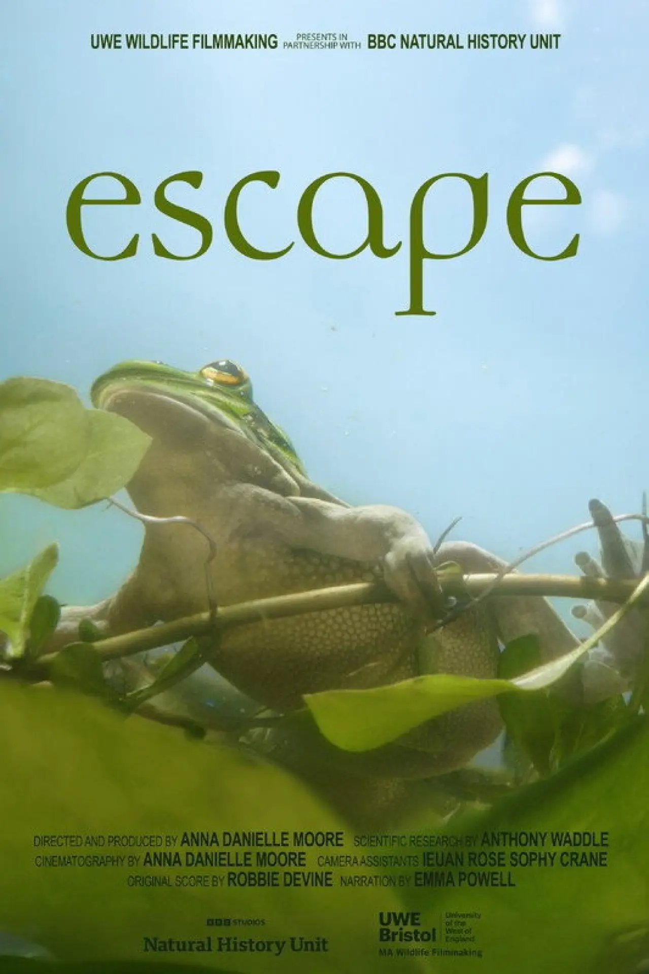 Постер до фільму "Escape"