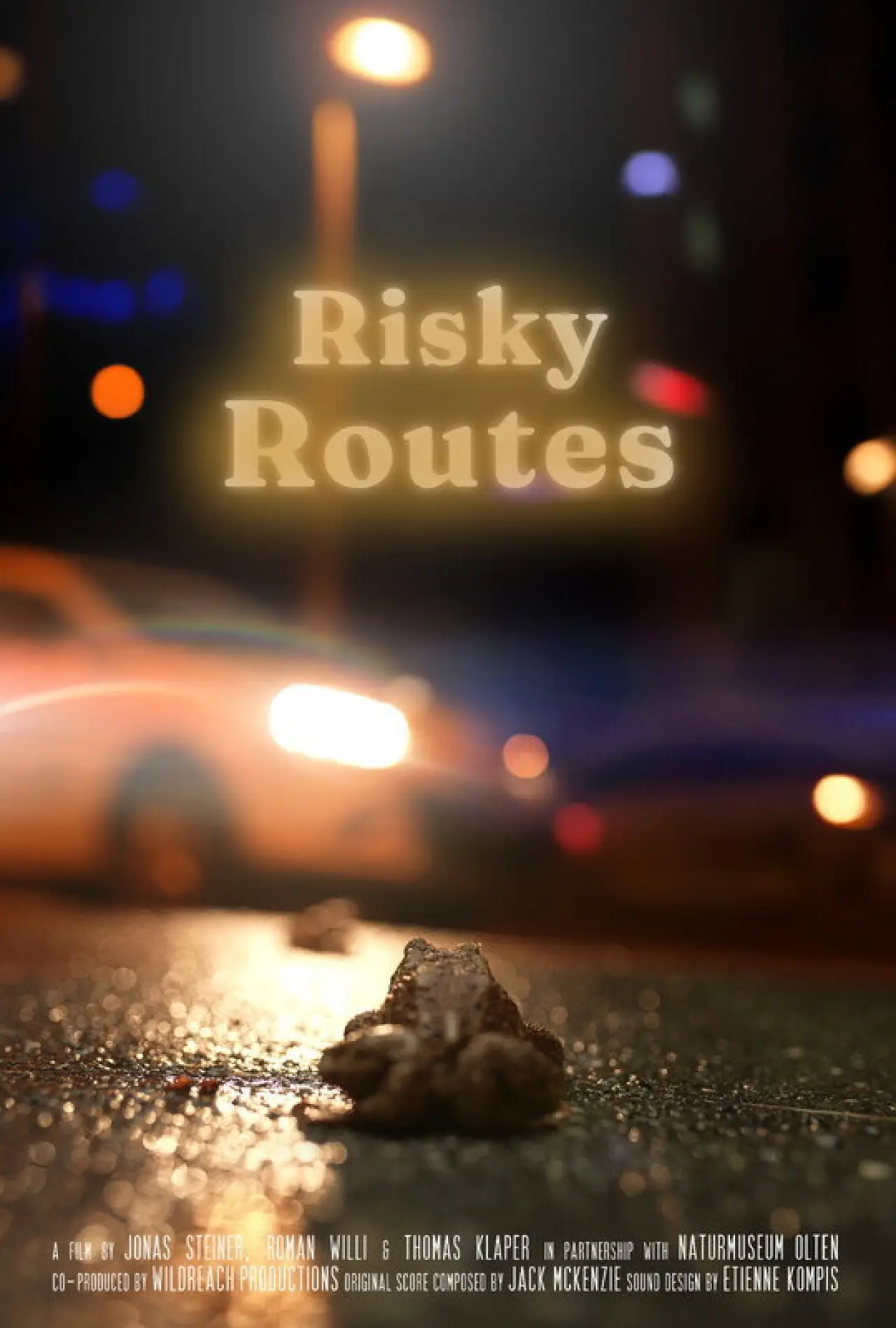 Постер до фільму "Risky Routes"