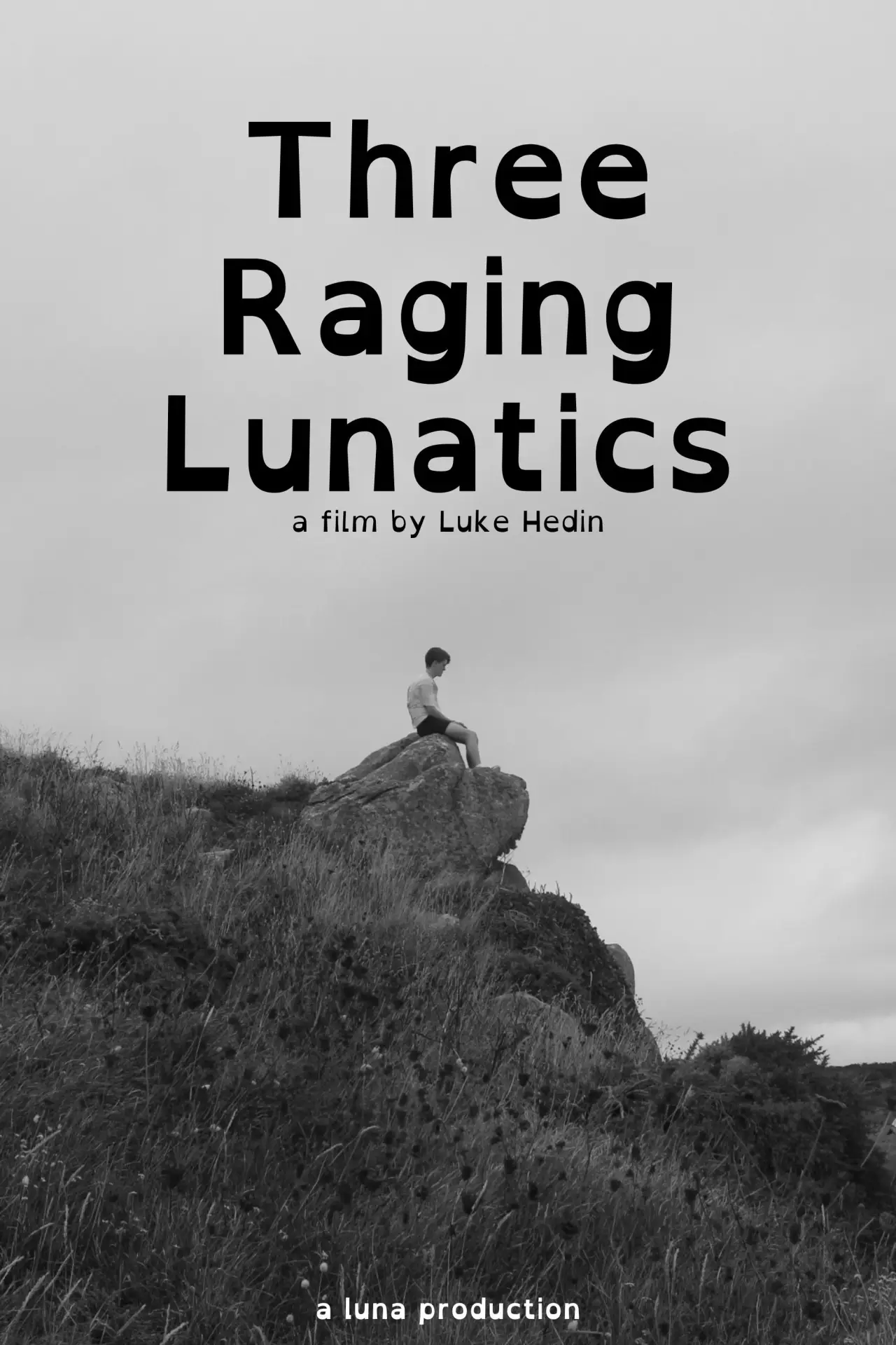 Постер до фільму "Three Raging Lunatics"
