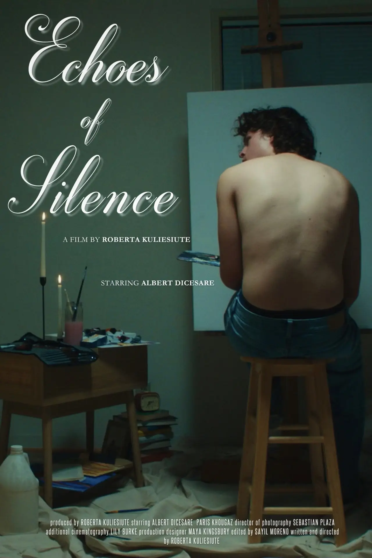 Постер до фільму "Echoes of Silence"