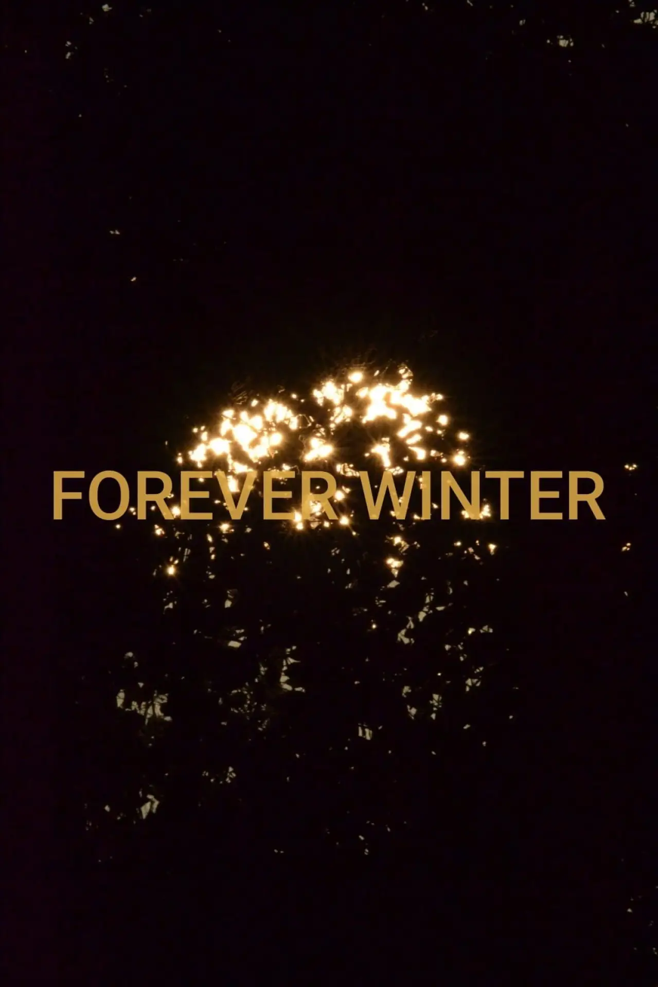 Постер до фільму "Forever Winter"