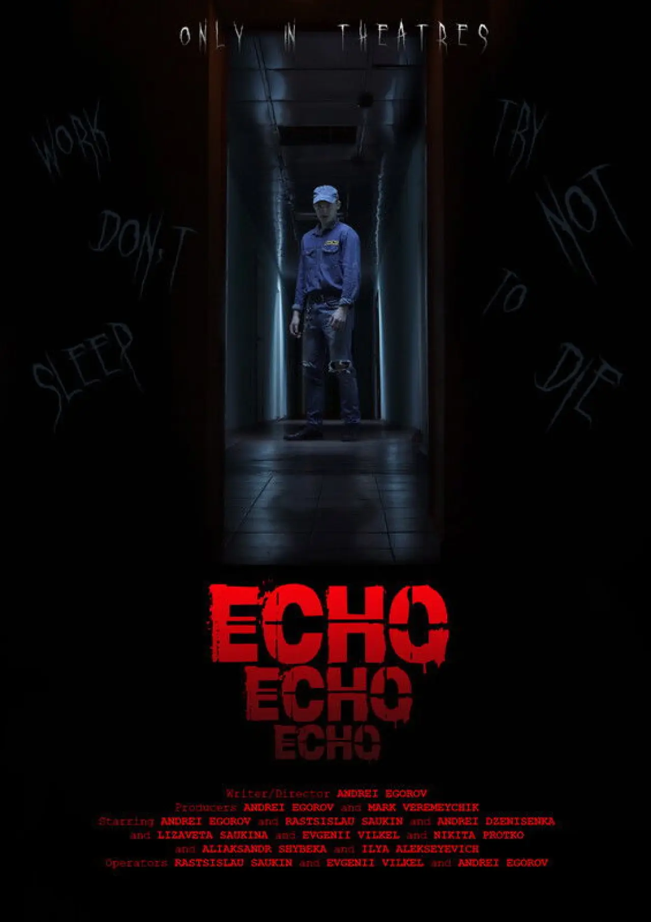 Постер до фільму "Эхо"