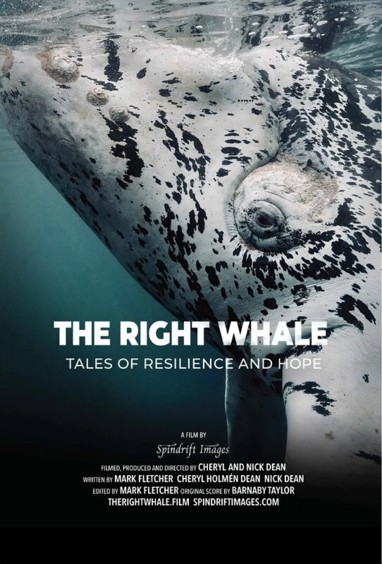 Постер до фільму "The Right Whale"