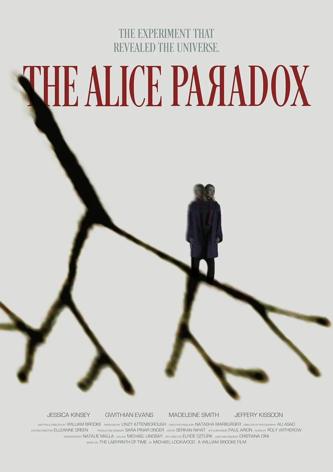 Постер до фільму "The Alice Paradox"