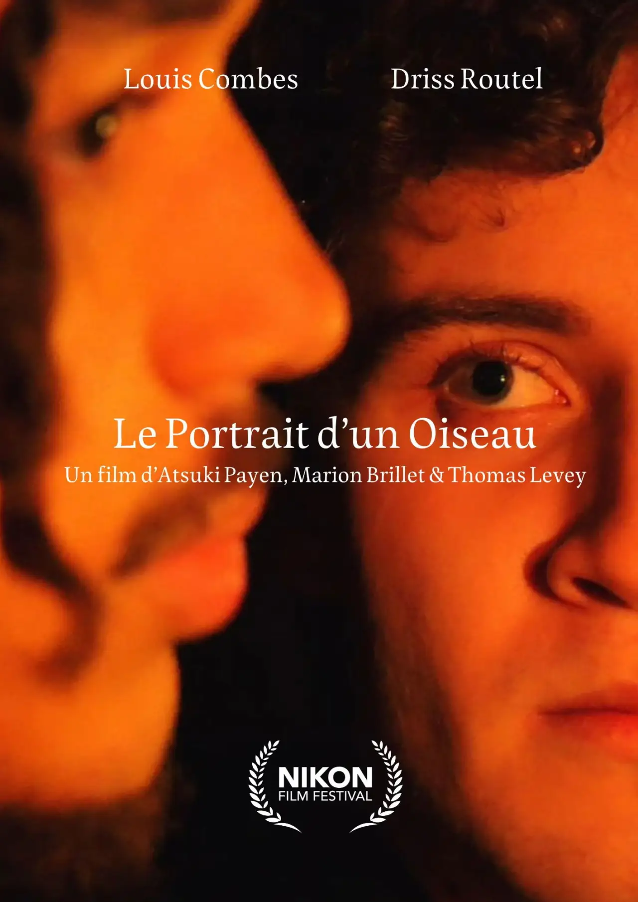 Постер до фільму "Le Portrait d