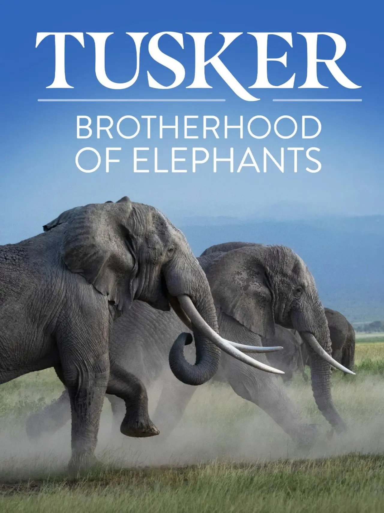 Постер до фільму "Tusker: Brotherhood of Elephants"
