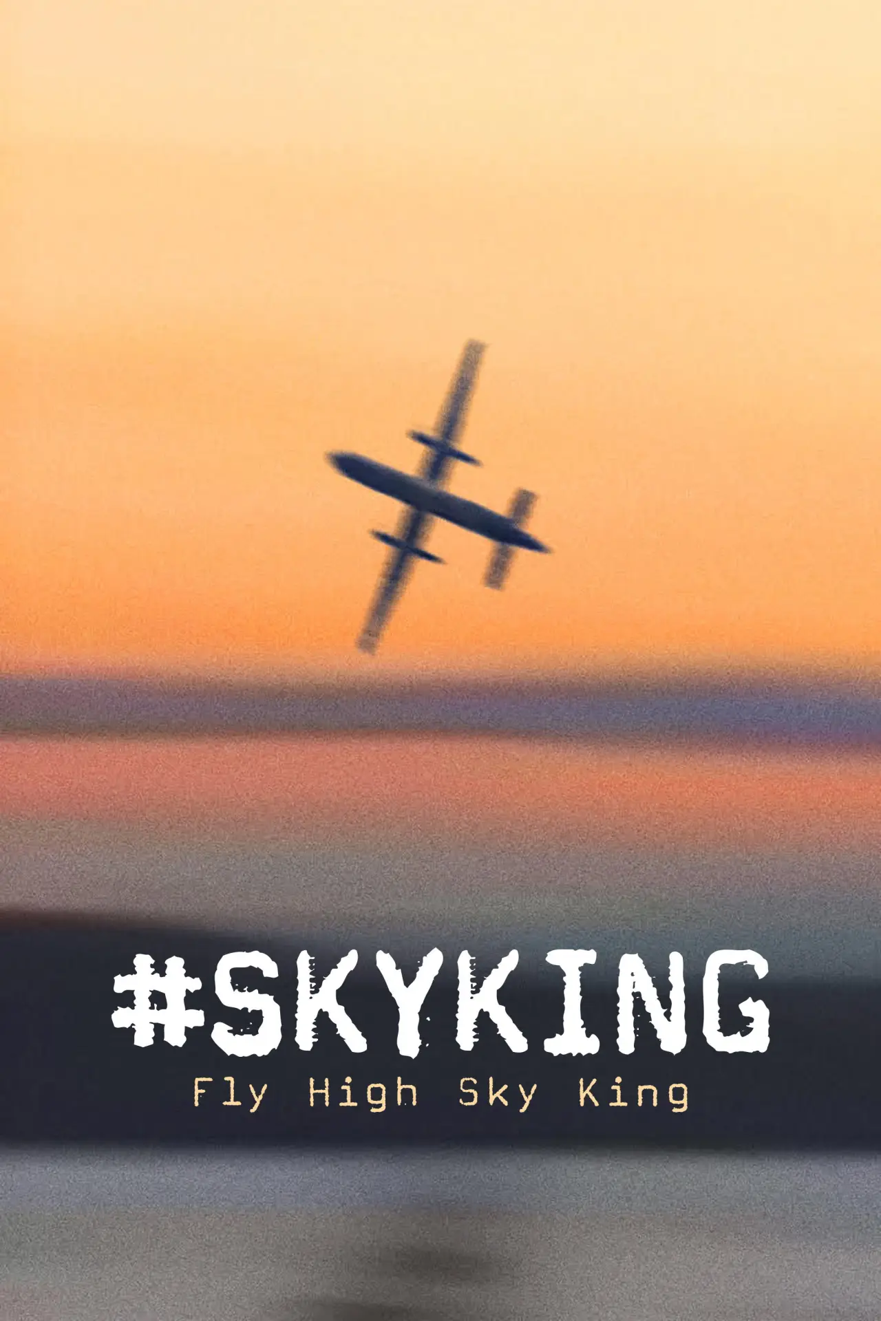 Постер до фільму "#SKYKING"