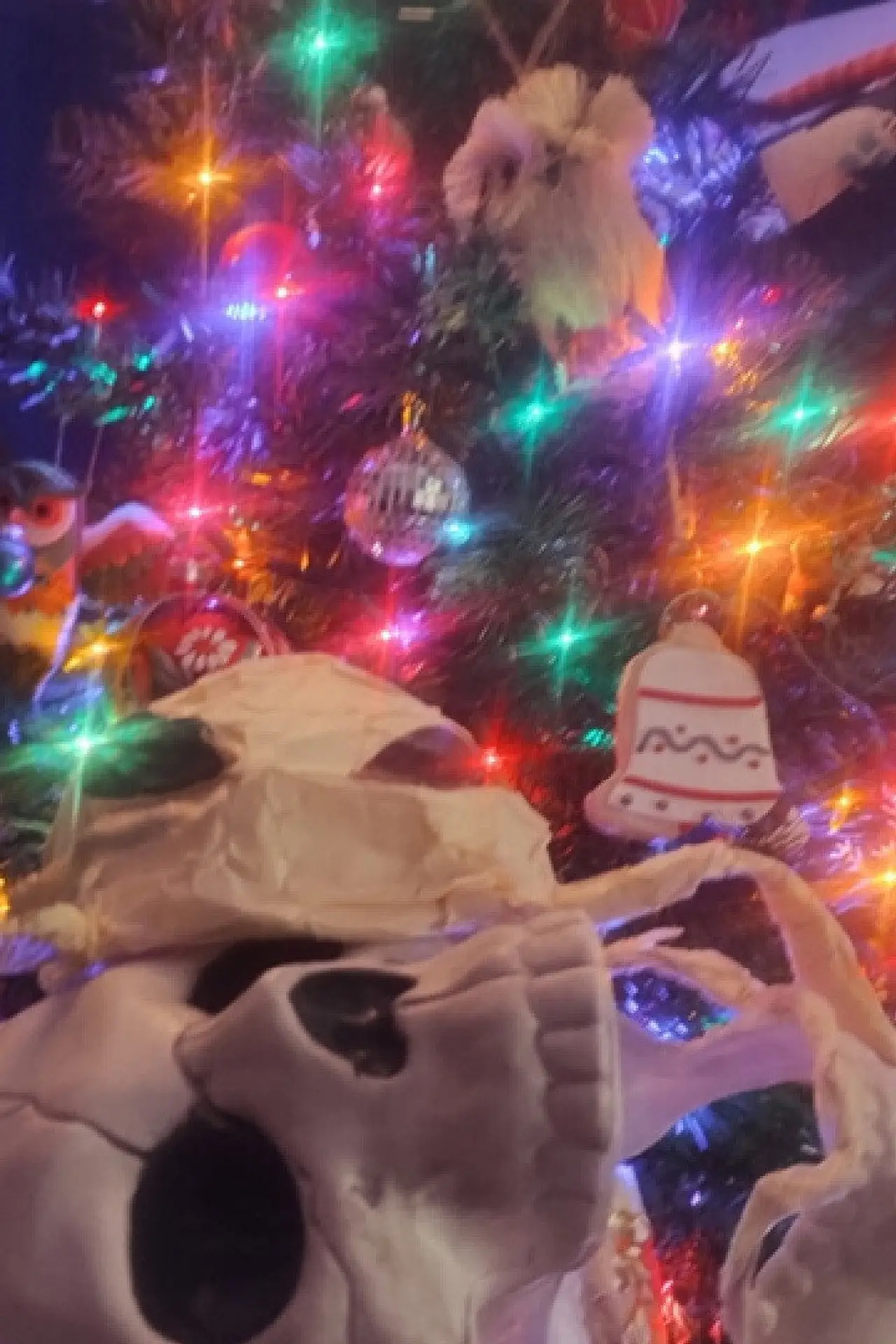 Постер до фільму "CRAWL. SUCK. KILL. 2. JINGLE. BELLS."
