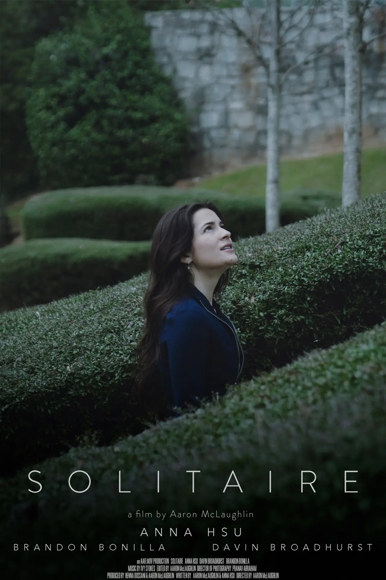 Постер до фільму "Solitaire"