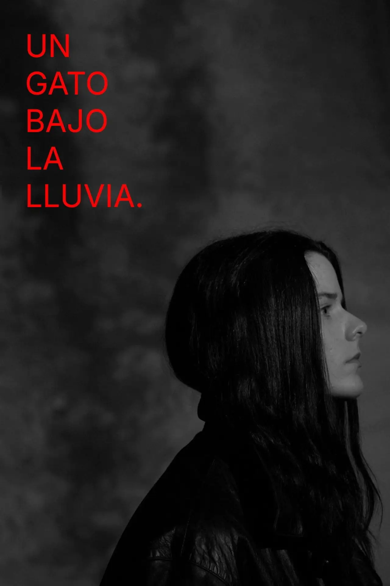 Постер до фільму "Un gato bajo la lluvia."