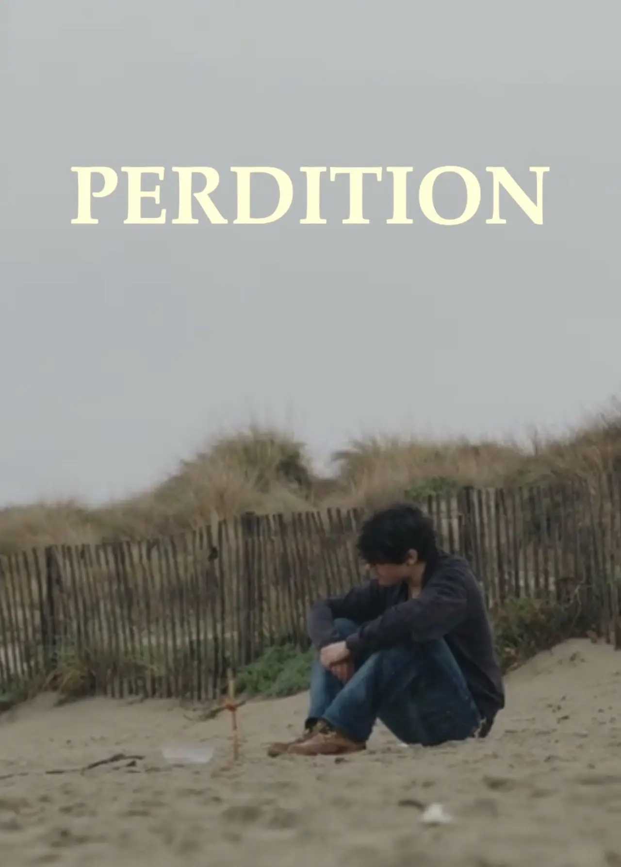 Постер до фільму "Perdition"