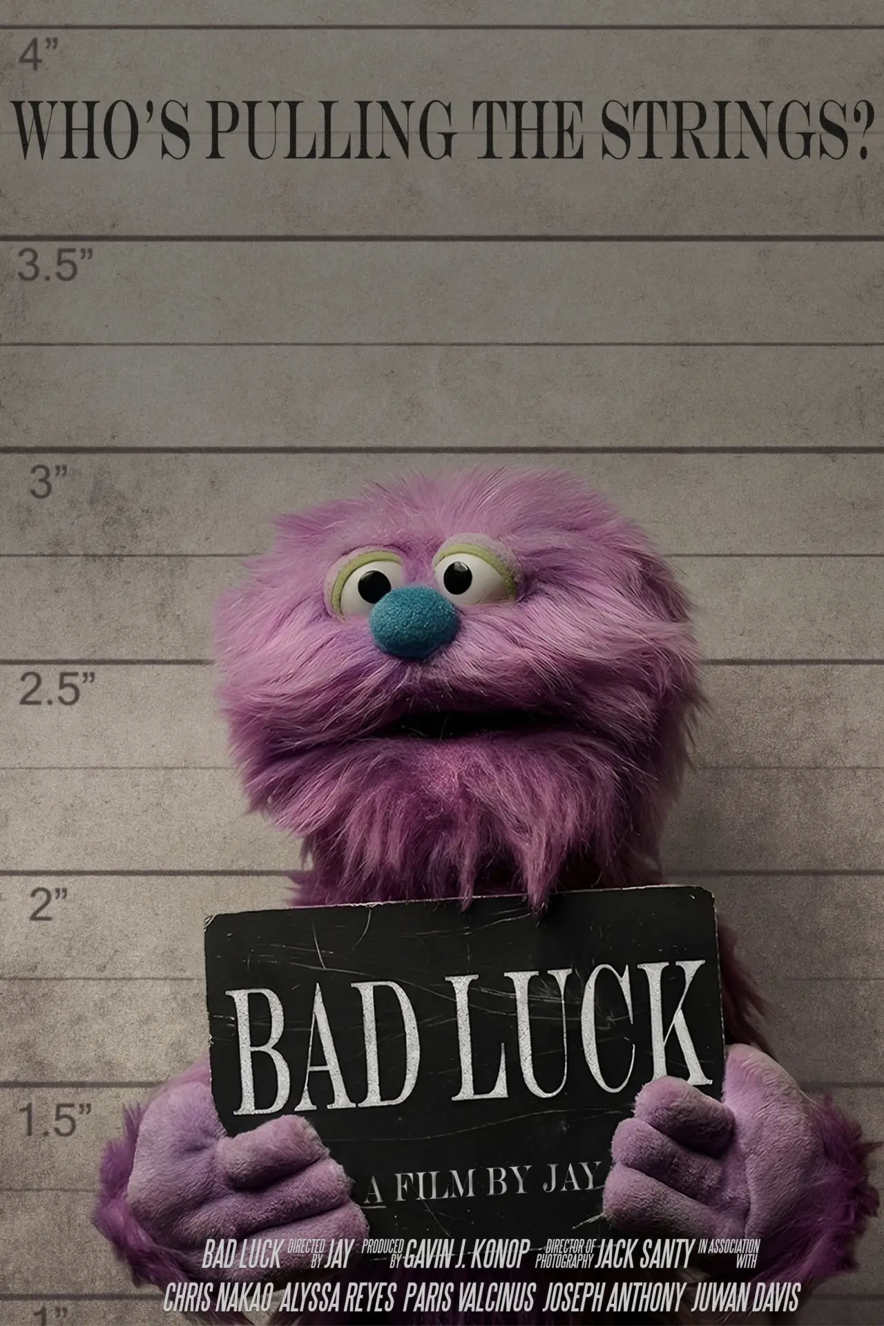 Постер до фільму "Bad Luck"