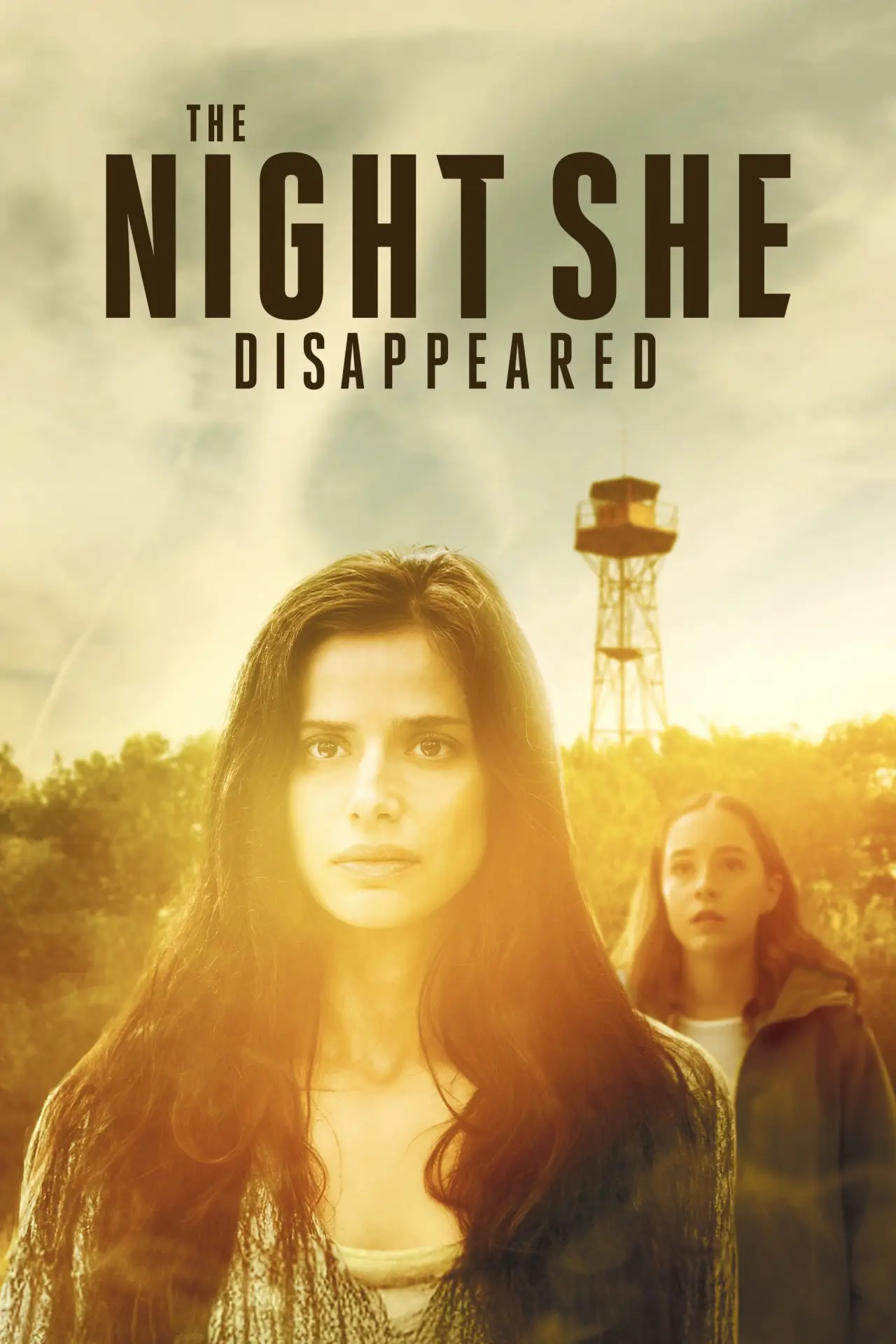 Постер до фільму "The Night She Disappeared"