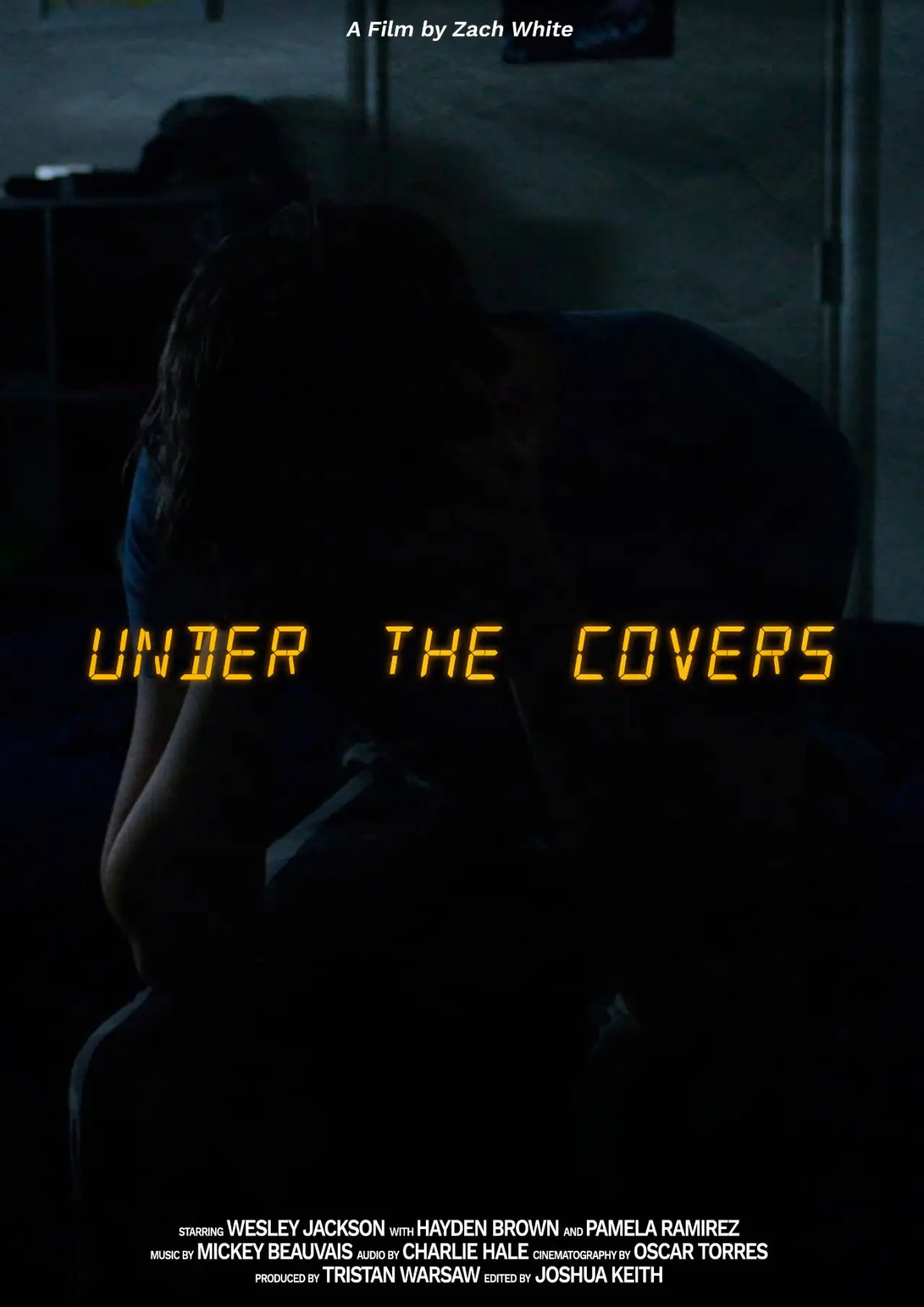 Постер до фільму "Under The Covers"