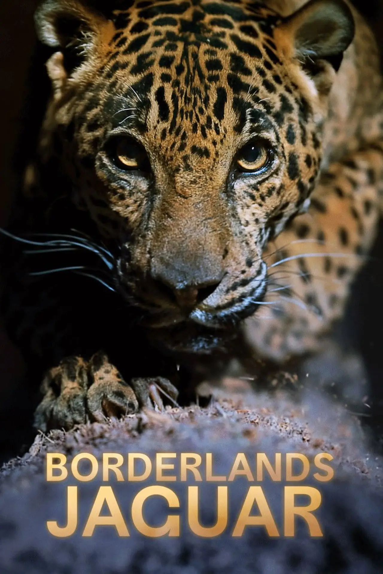 Постер до фільму "Borderlands Jaguar"