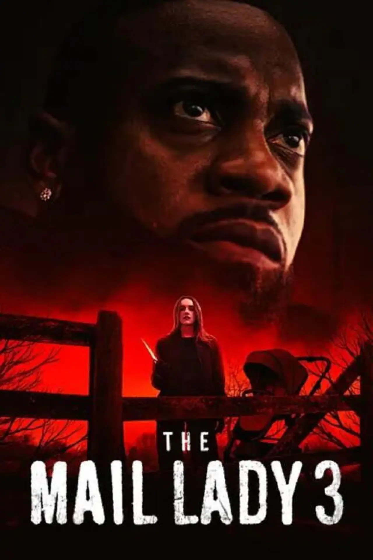 Постер до фільму "The Mail Lady 3"