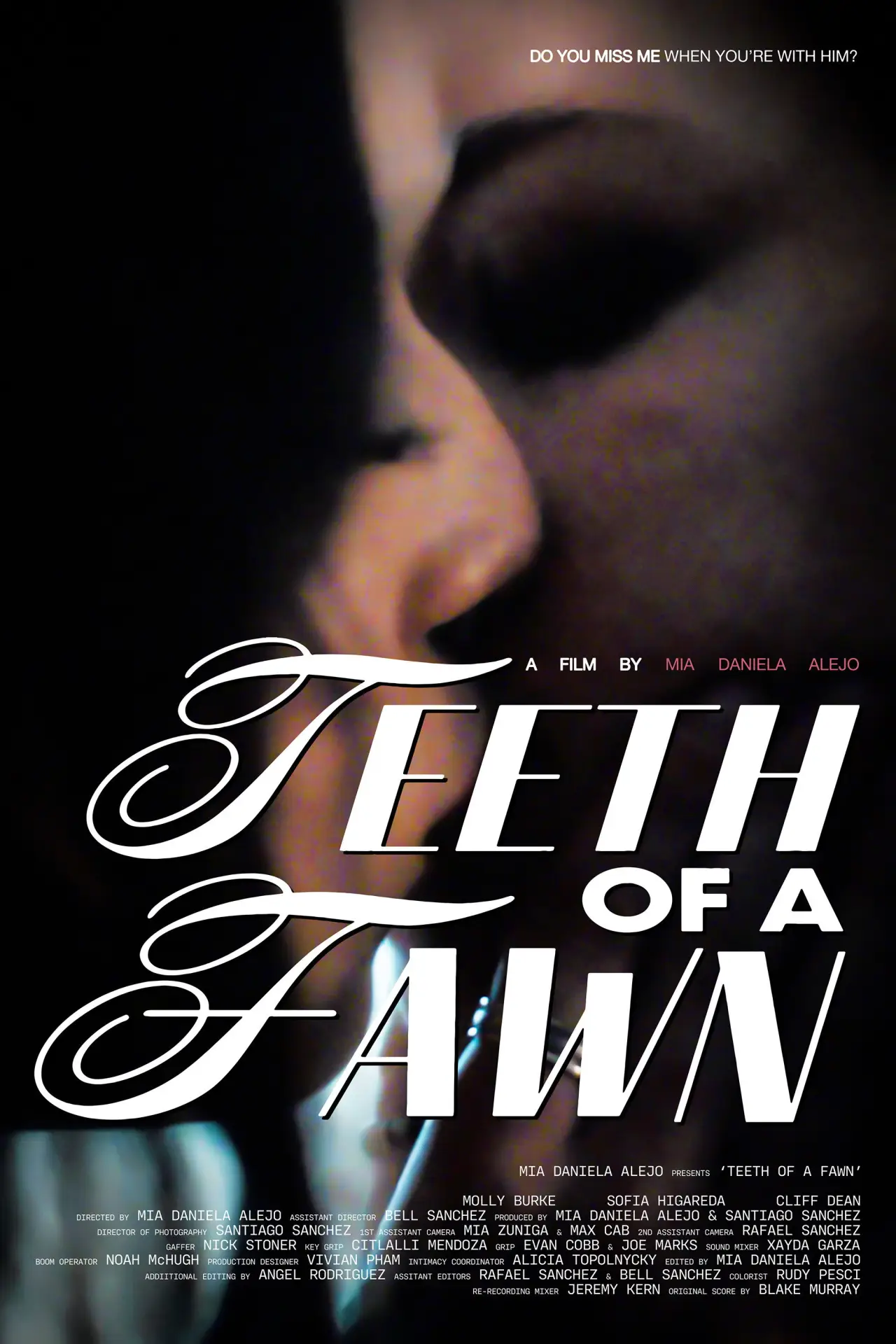 Постер до фільму "Teeth of A Fawn"