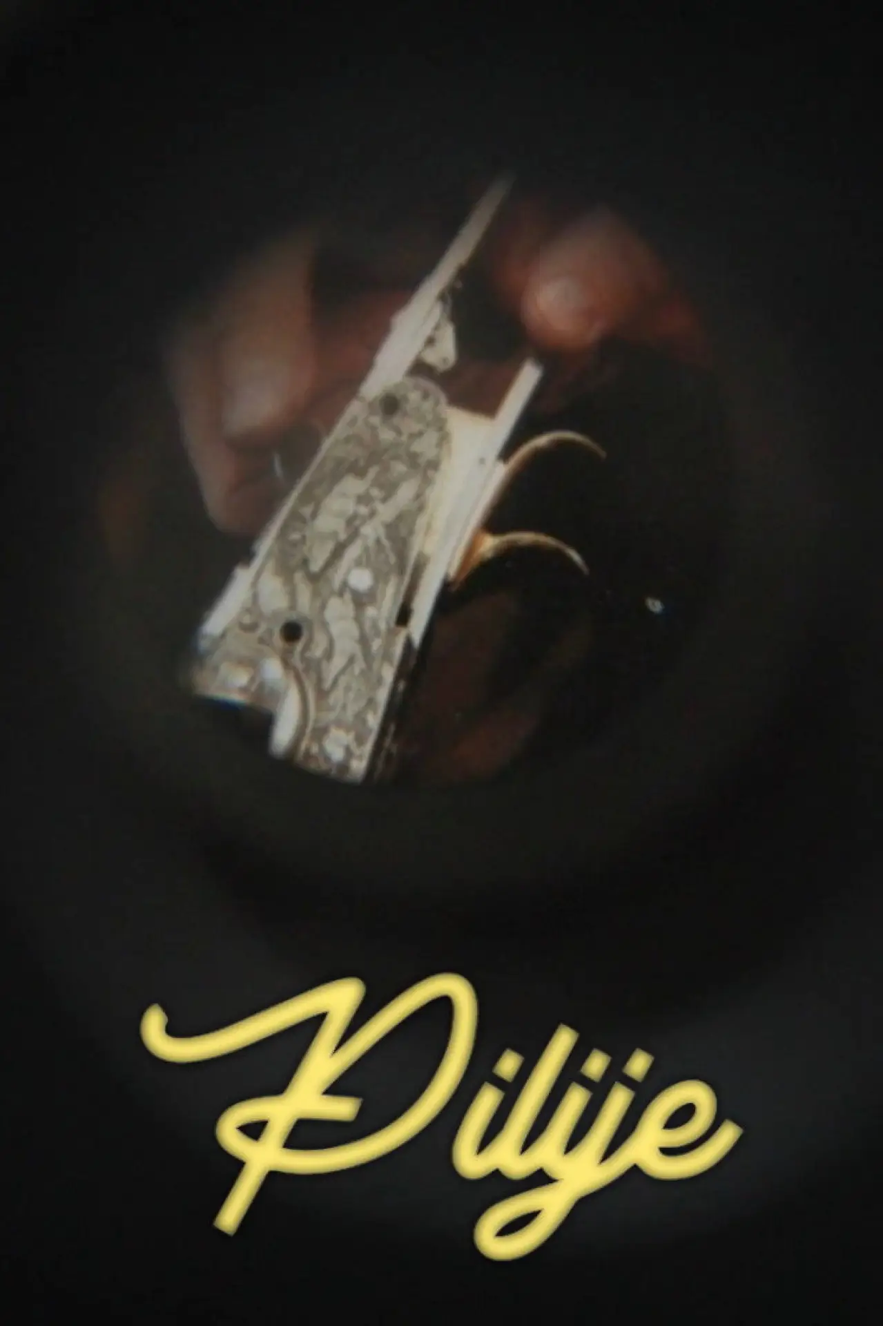 Постер до фільму "Pilije"