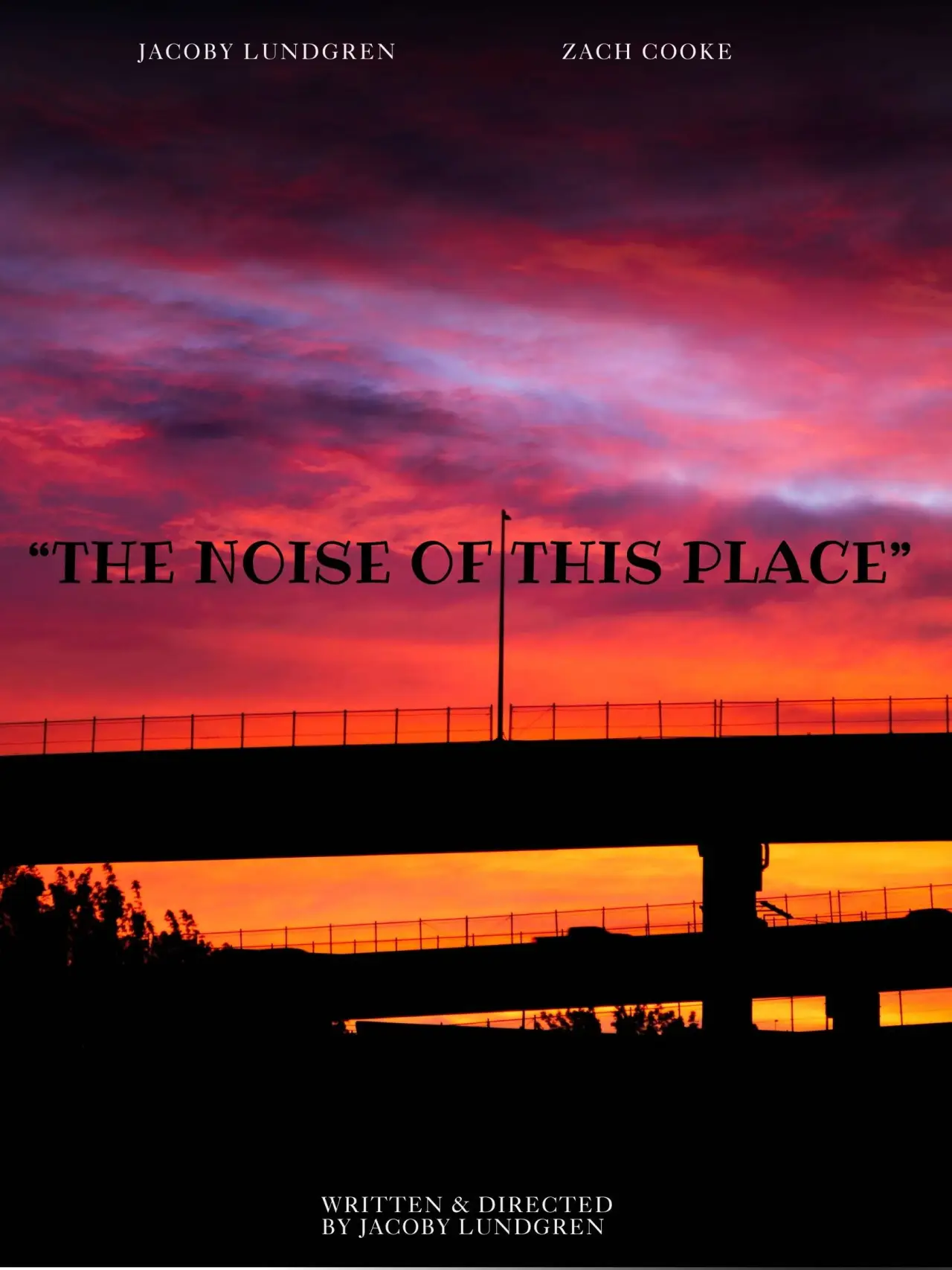 Постер до фільму ""The Noise of This Place""